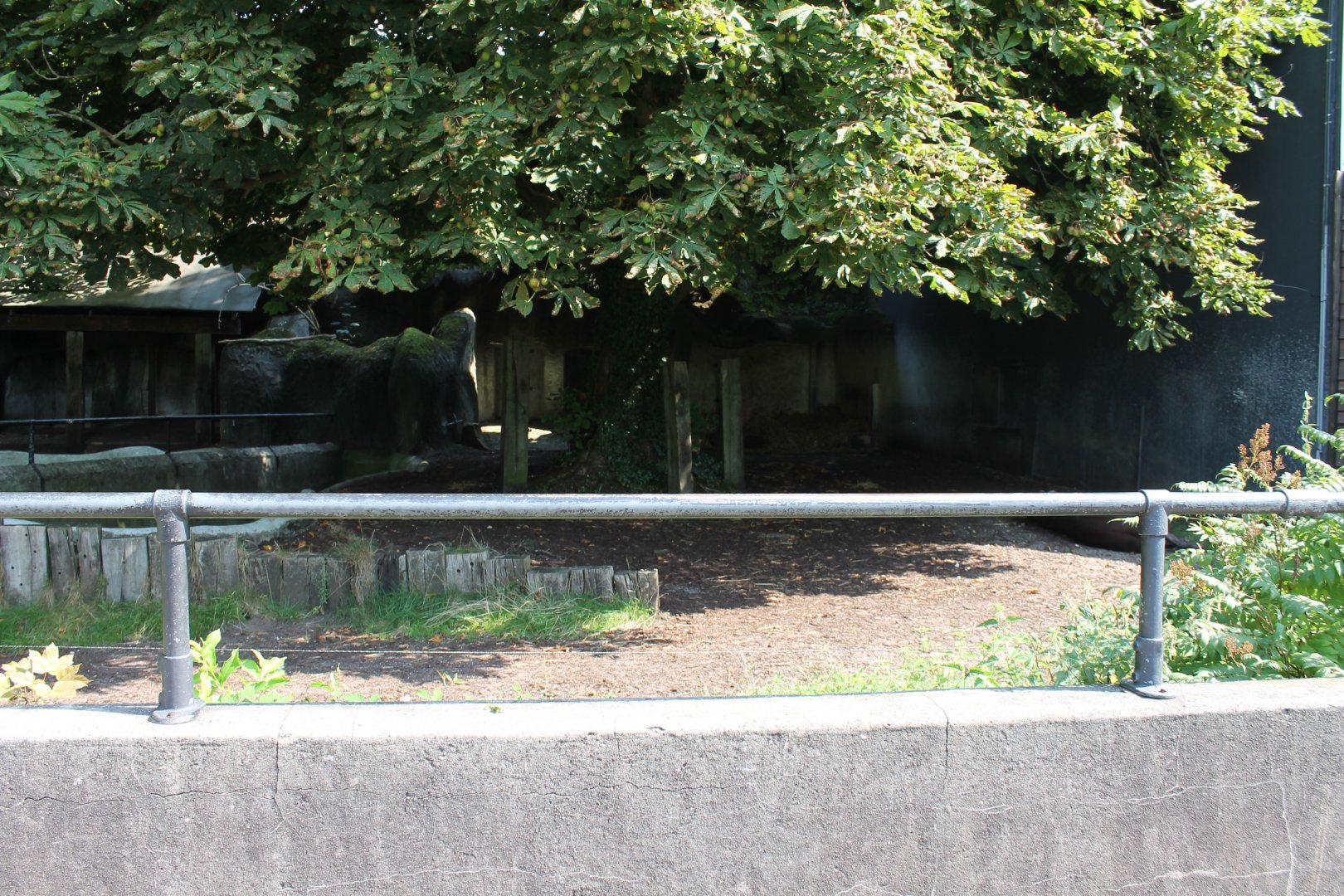 Lowland tapir enclosure