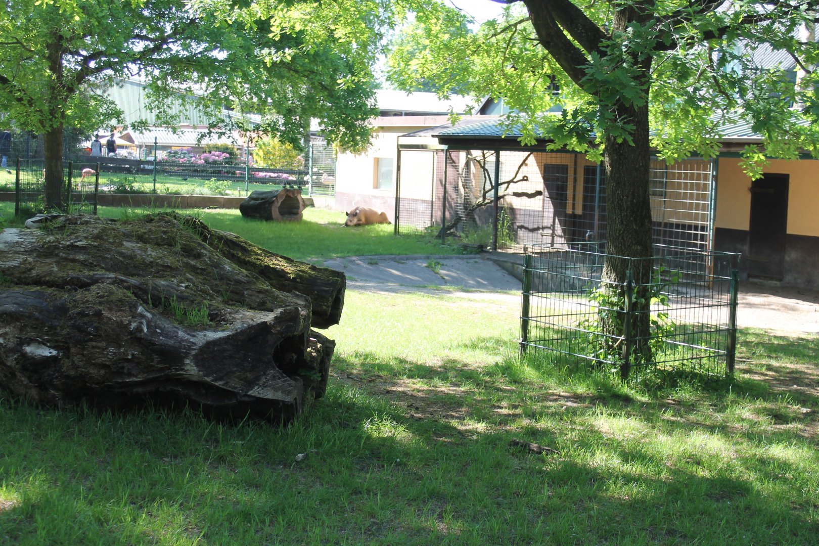 Lowland tapir enclosure