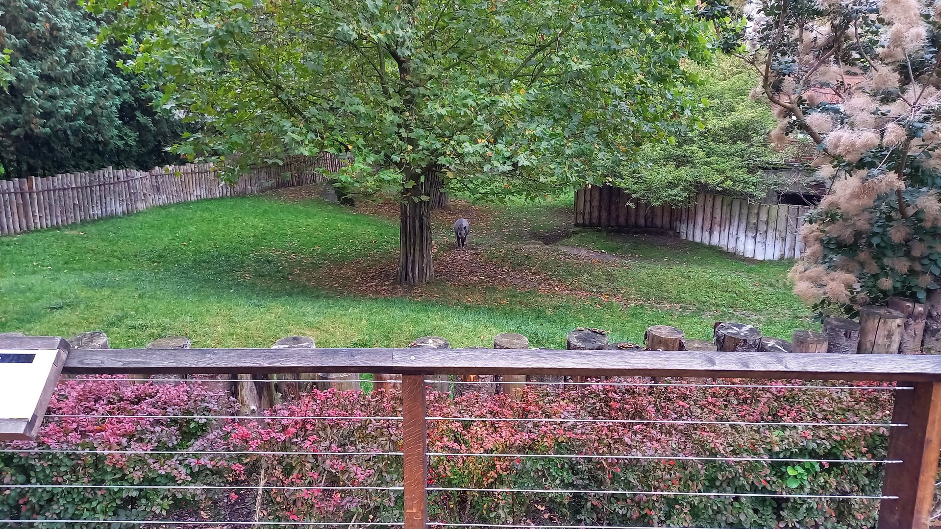 Lowland tapir enclosure