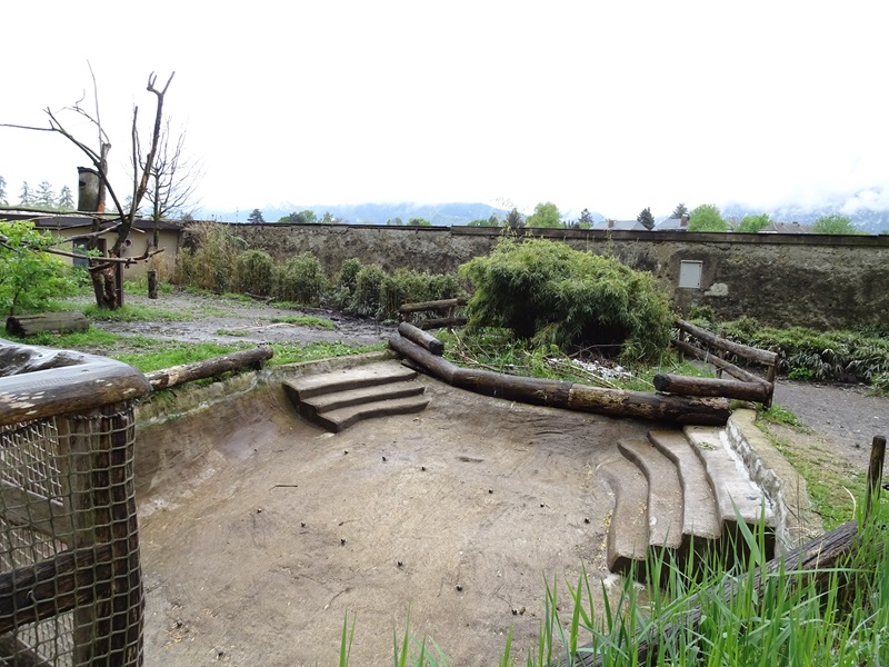 Lowland tapir enclosure