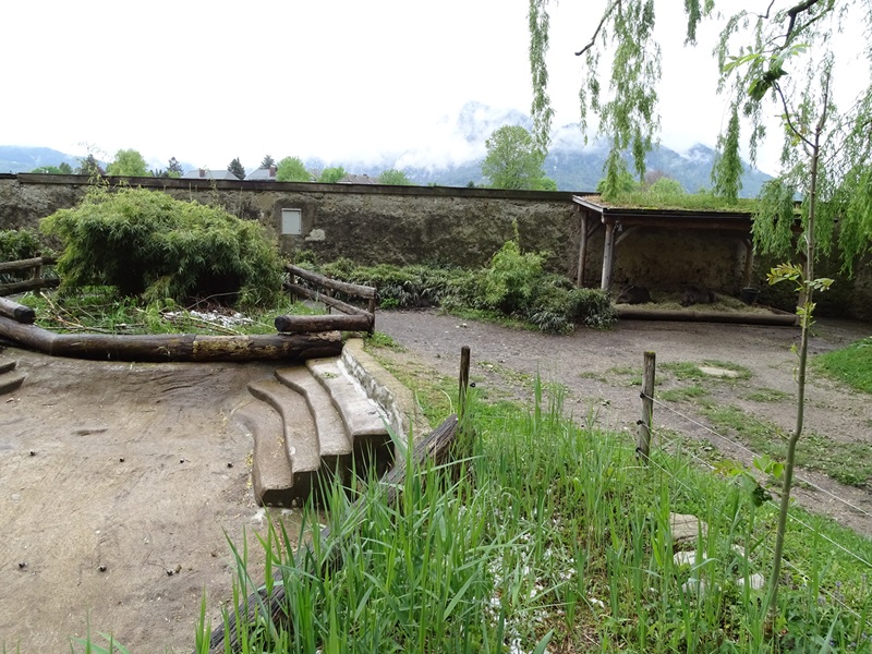 Lowland tapir enclosure