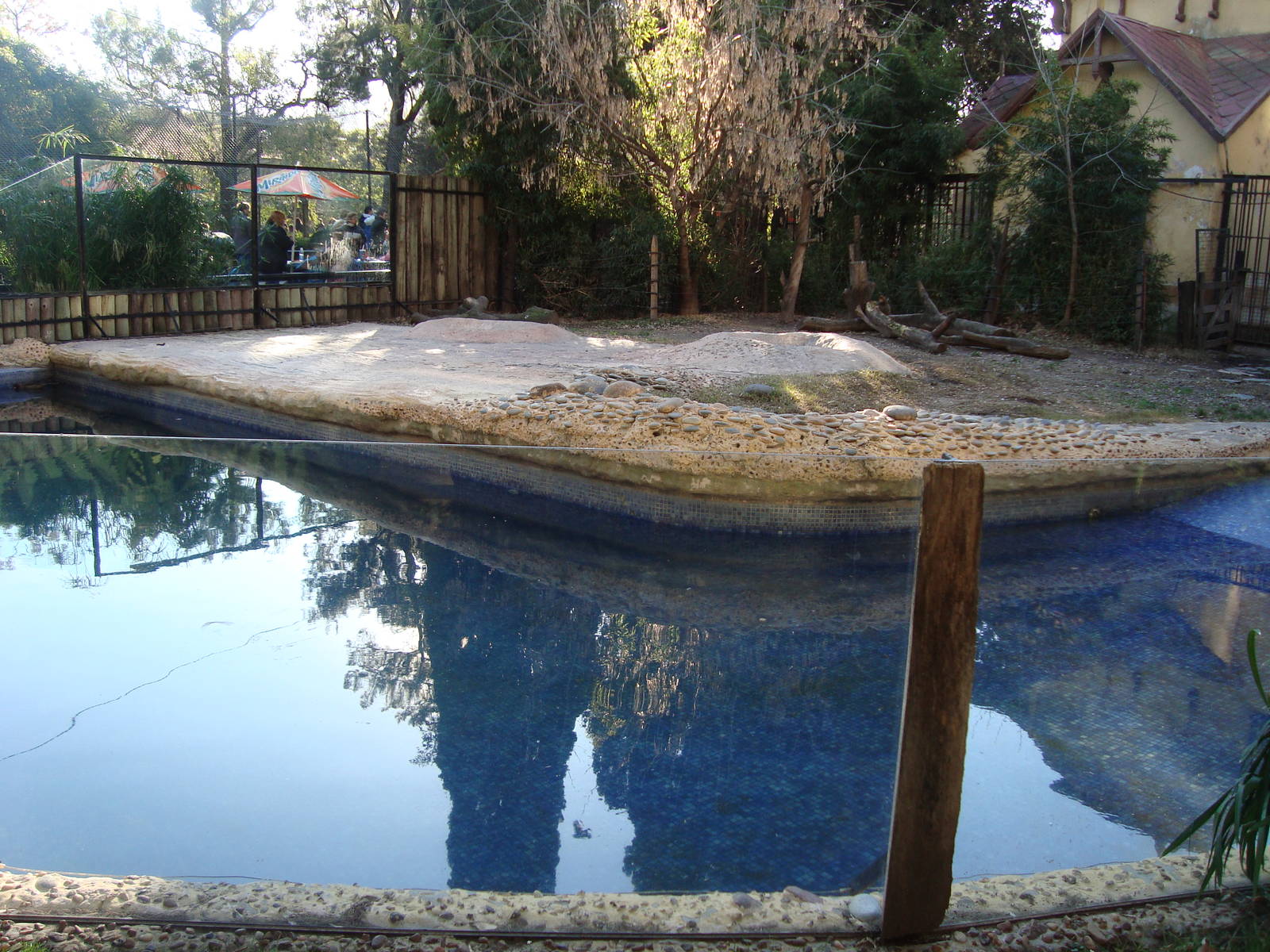 Lowland tapir enclosure