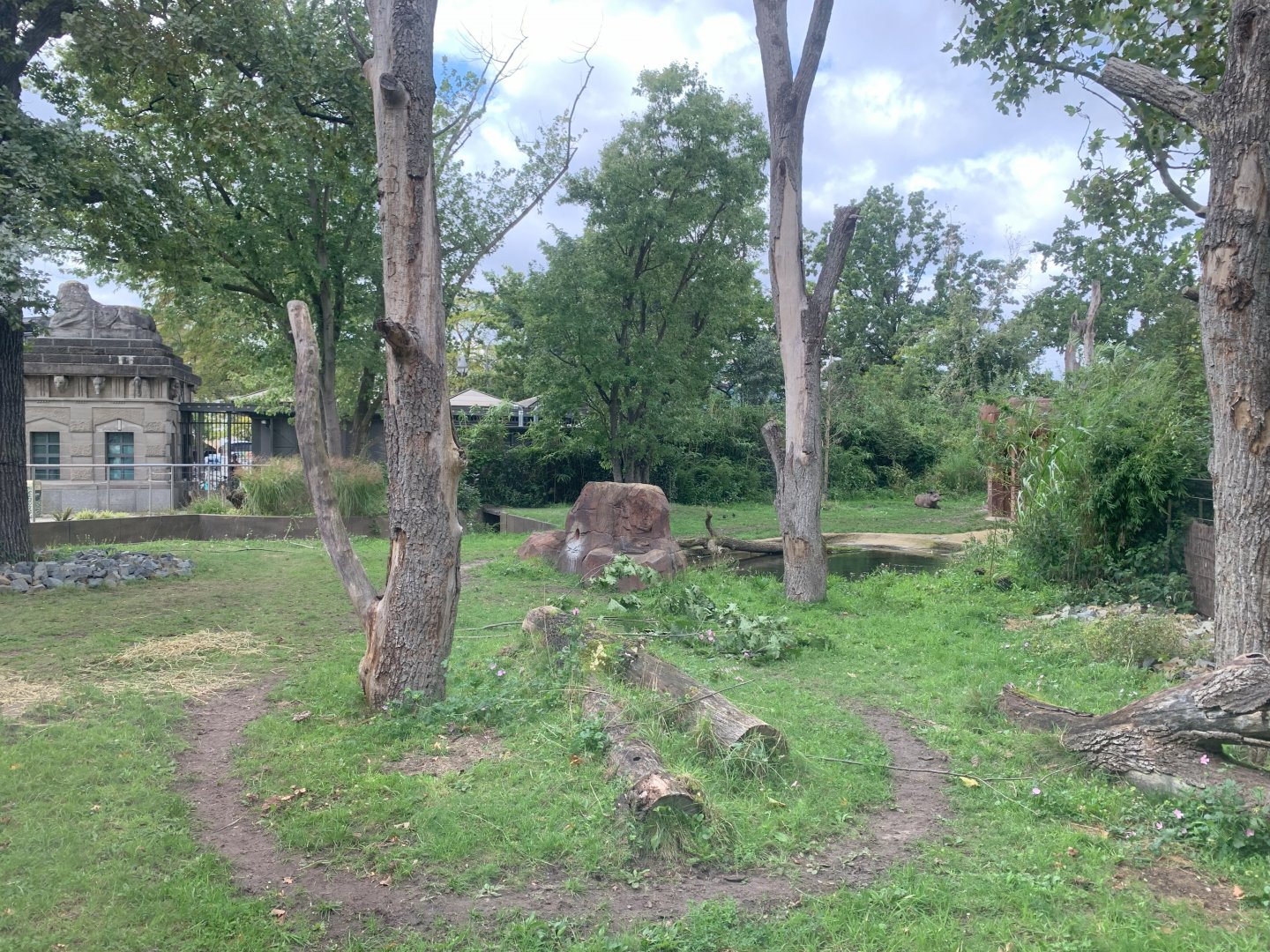 Lowland Tapir enclosure