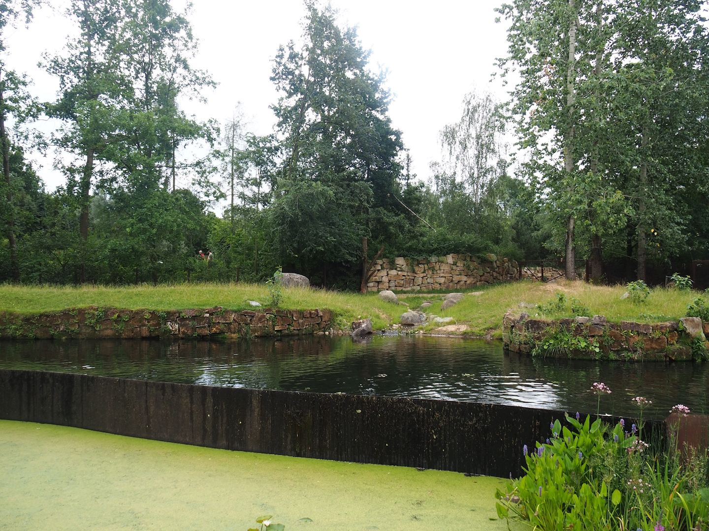 Lowland tapir exhibit, 2023-07-18