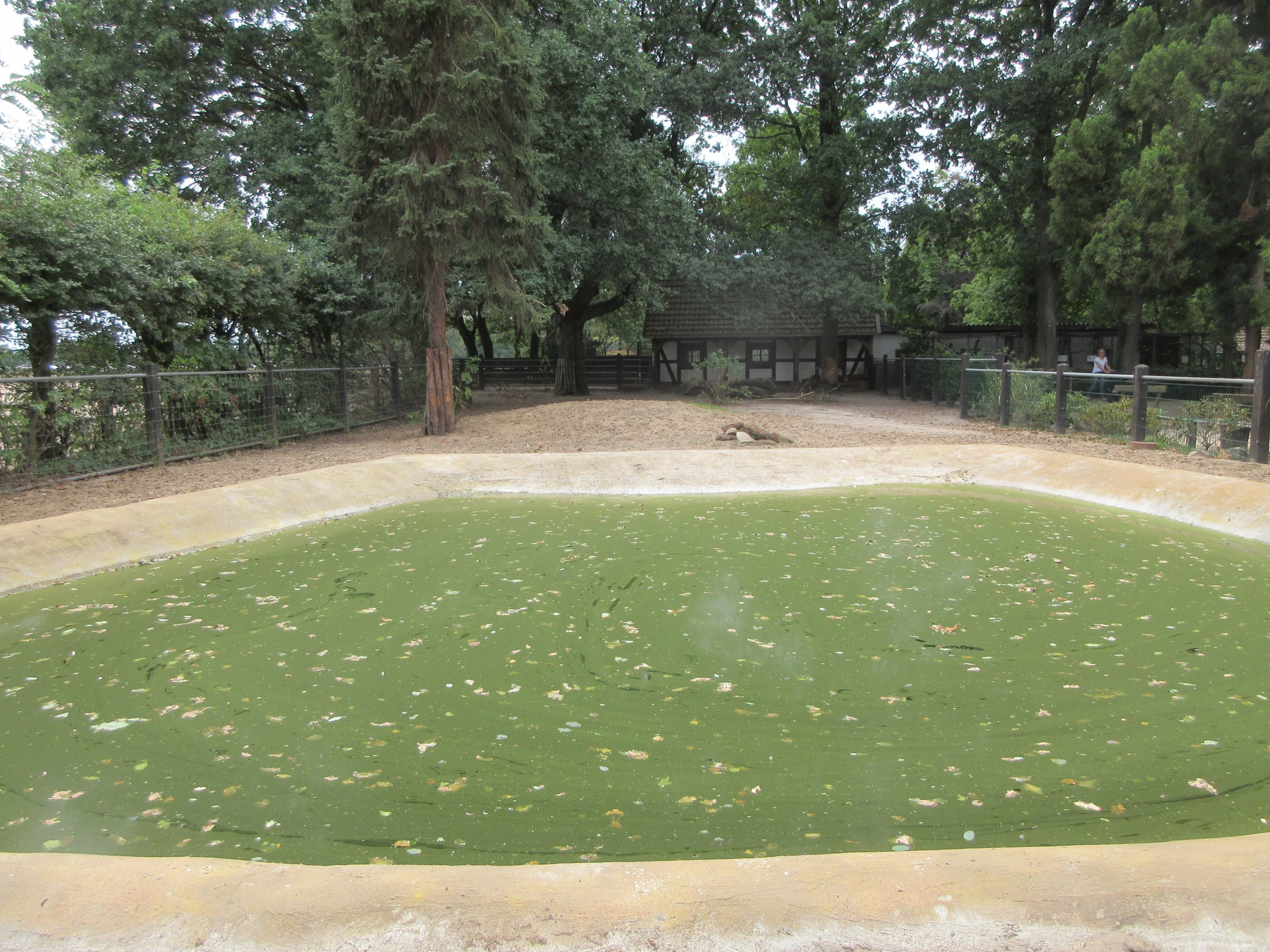 Lowland Tapir Exhibit