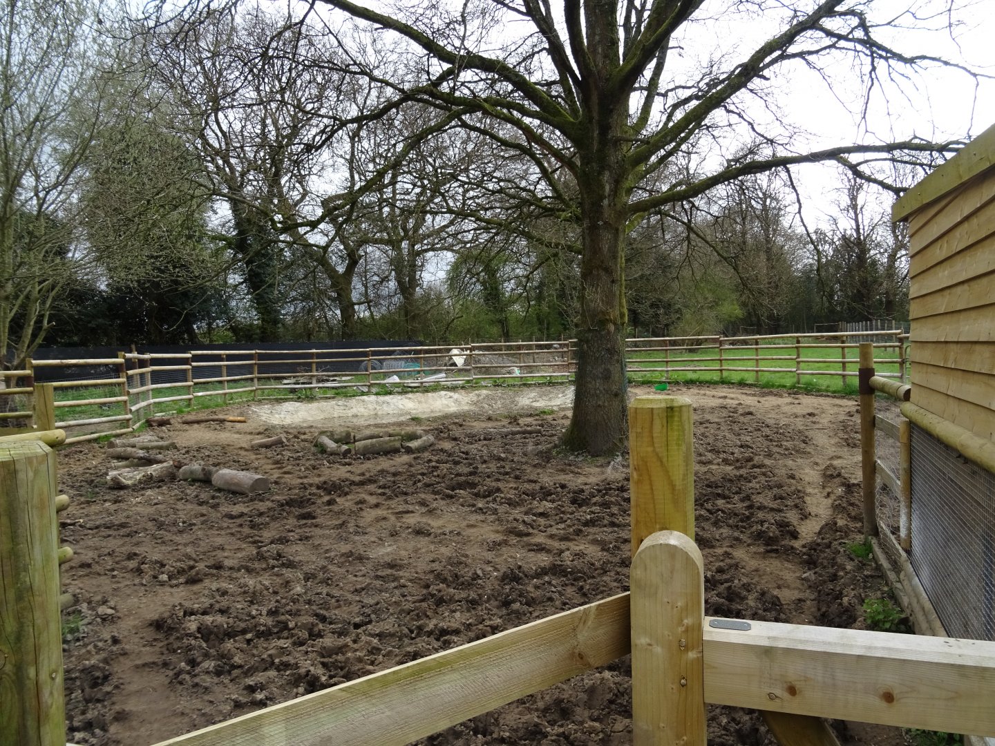 Lowland Tapir Exhibit
