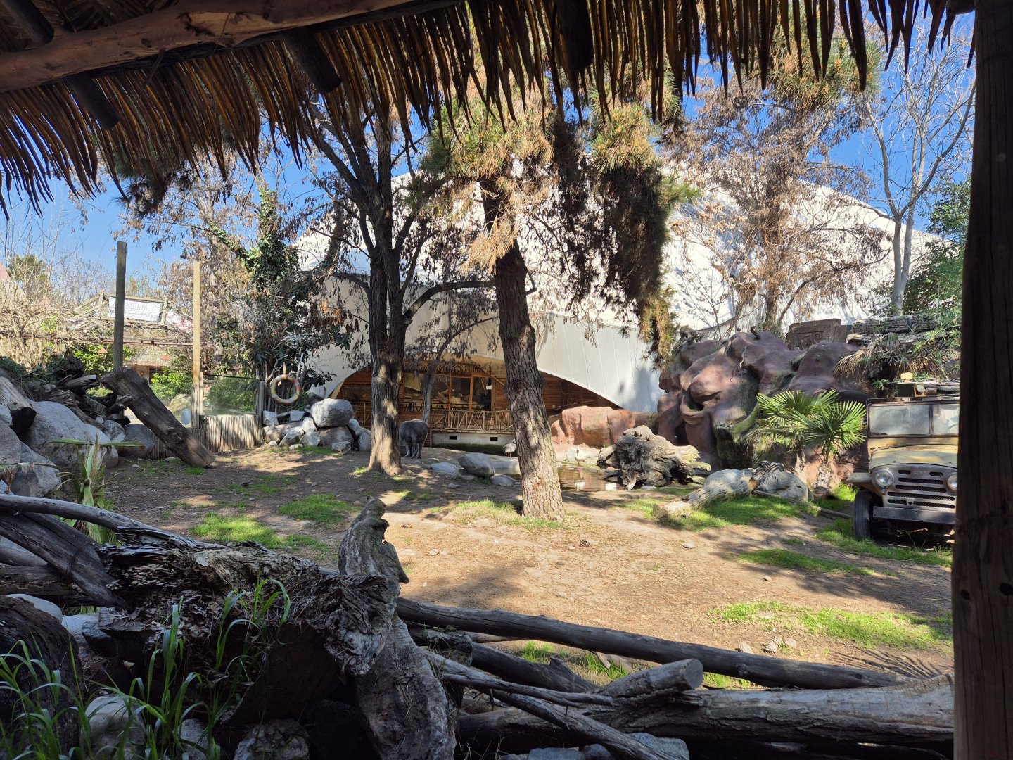 Lowland Tapir exhibit