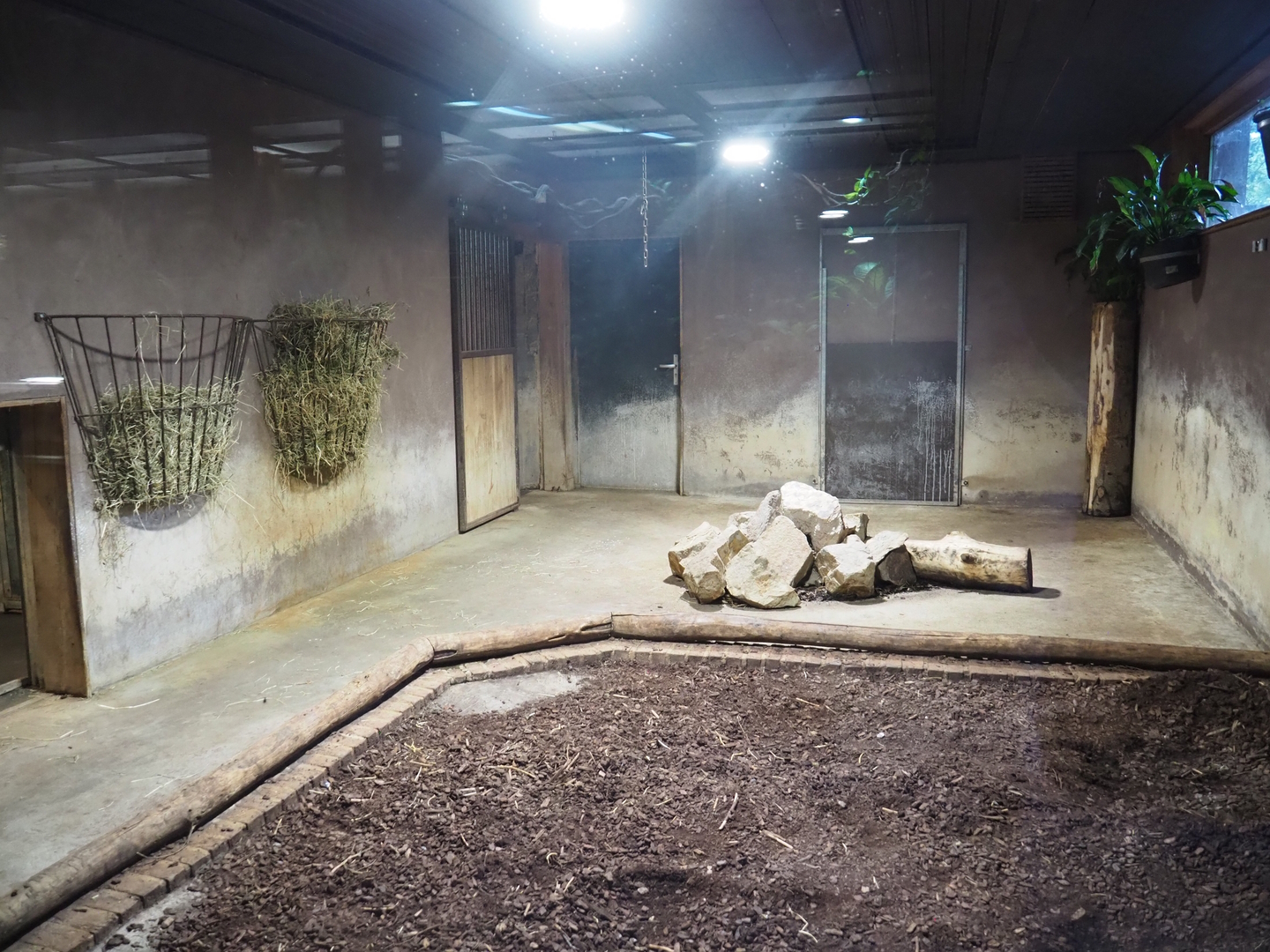 Lowland tapir indoor exhibit, 2022-08-20