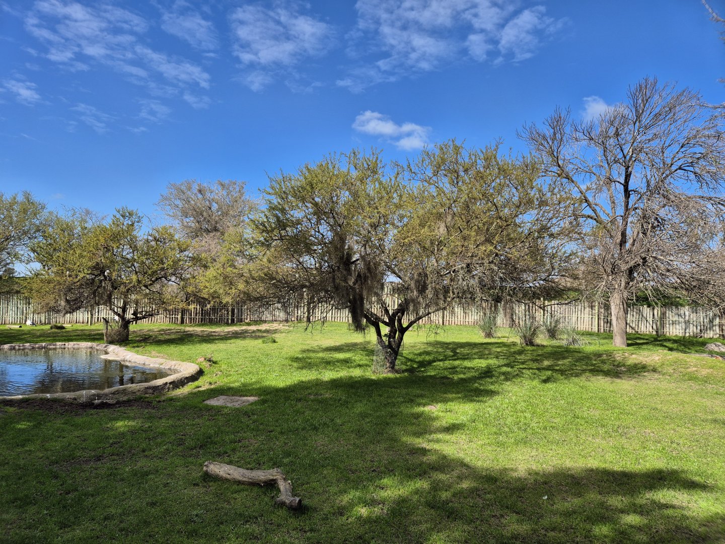 Lowland Tapir/Magouri Stork exhibit