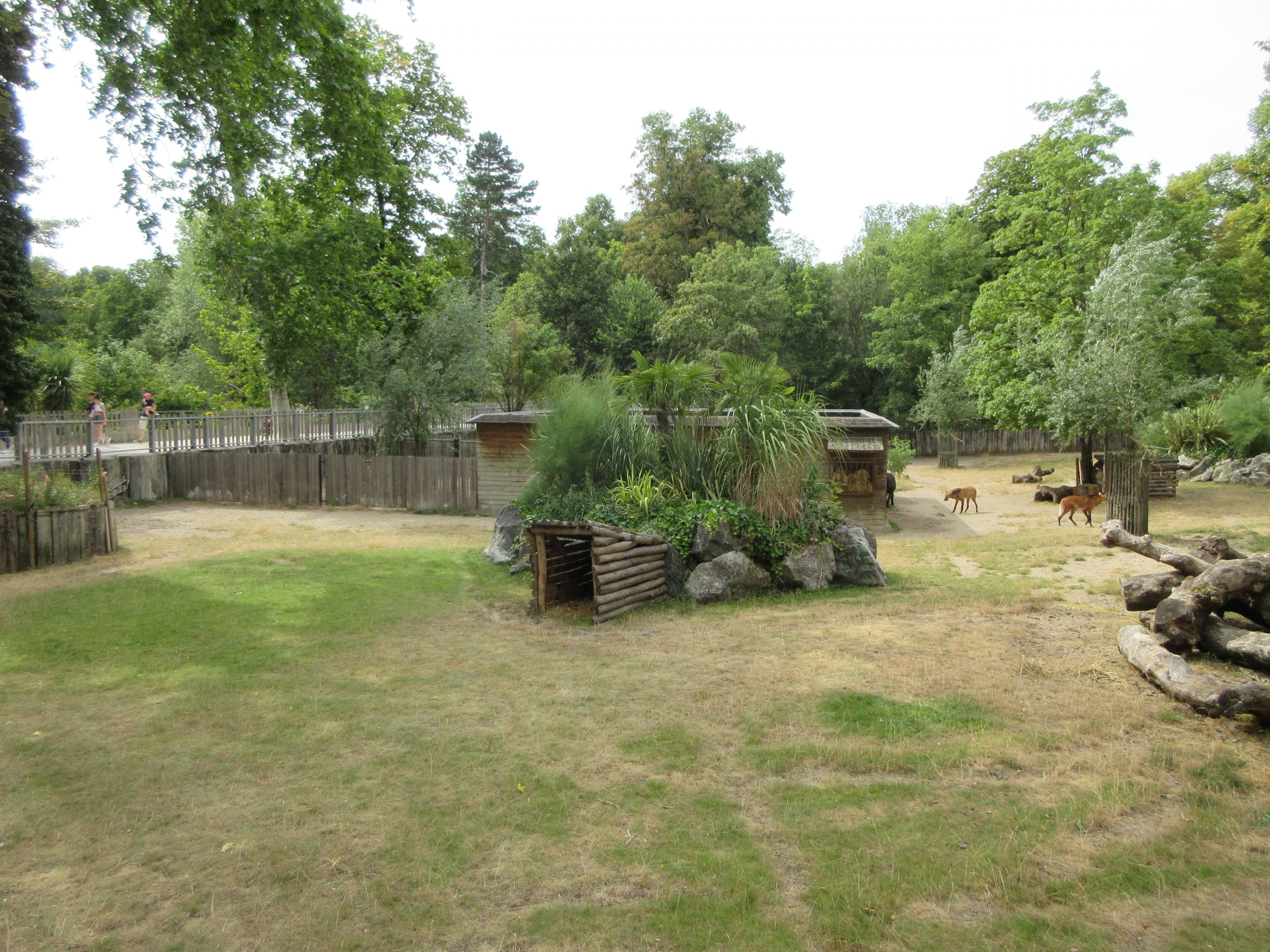 Lowland Tapir/Maned Wolf/Capybara Exhibit