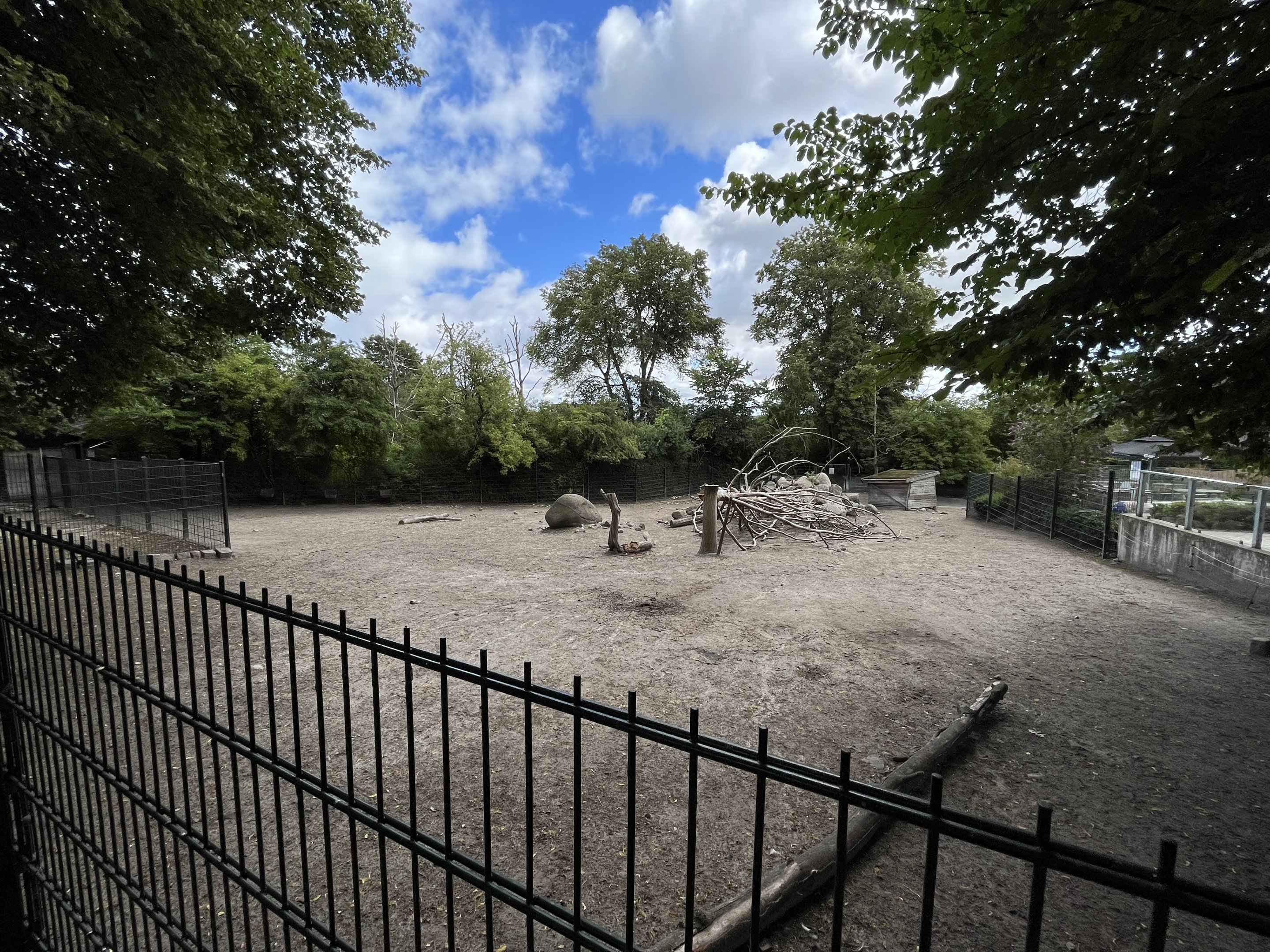 Lowland Tapir/Vicuña Exhibit