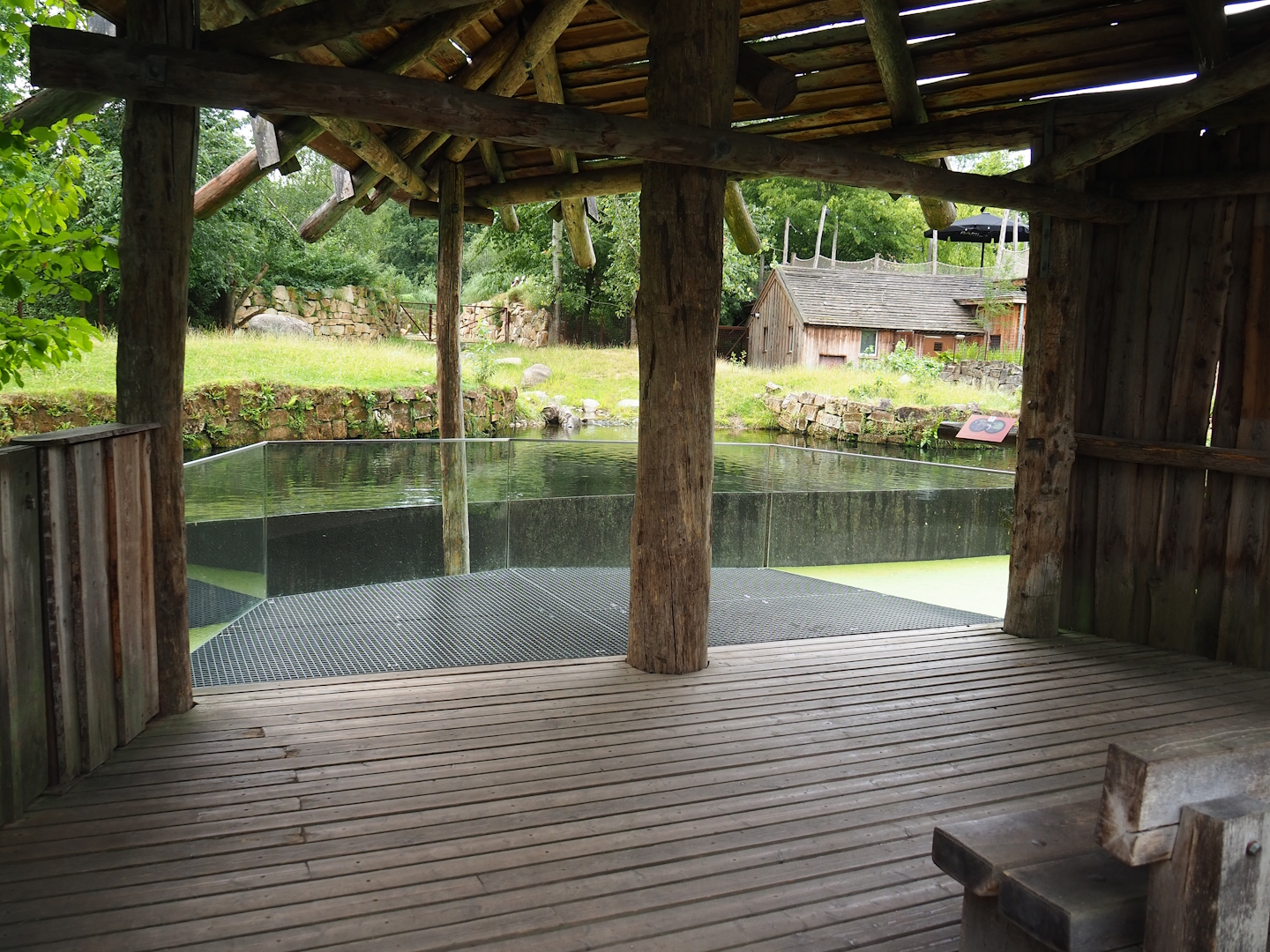 Lowland tapir viewing area, 2023-07-18