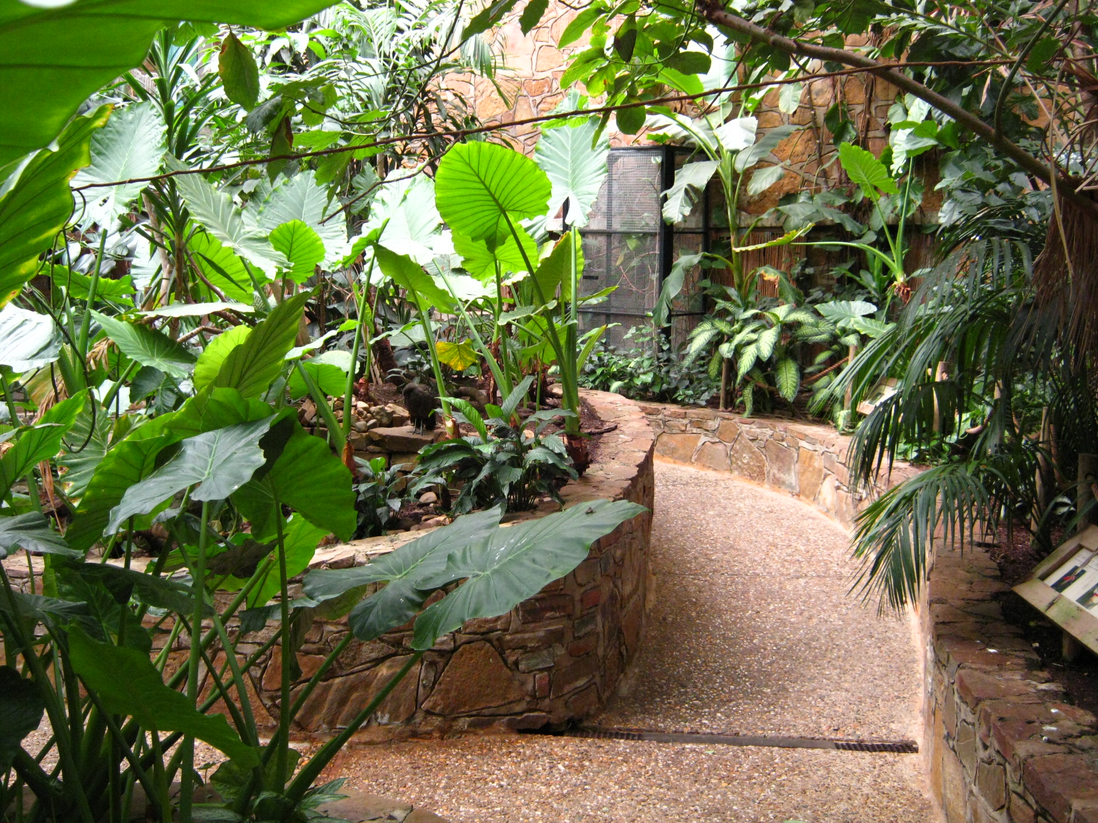 LRZ - Indoor Aviary