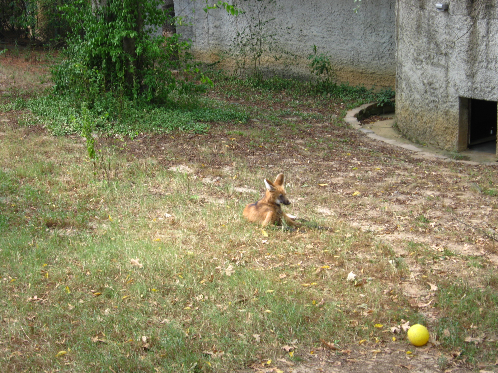 LRZ - Miscellaneous exhibits