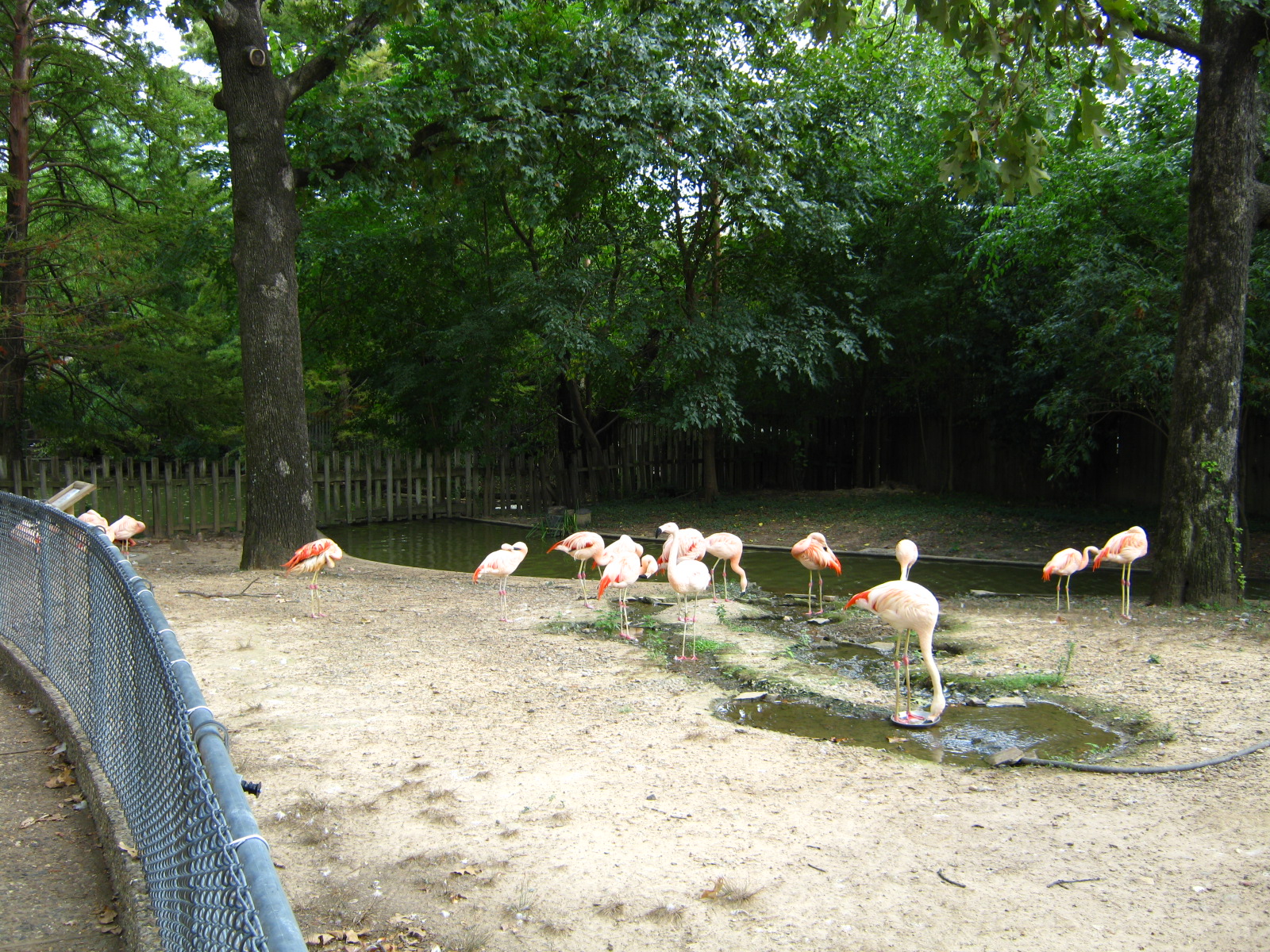 LRZ - Miscellaneous Scenery