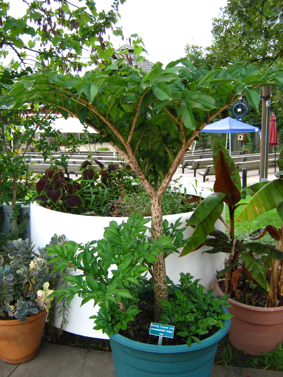 LRZ - Miscellaneous Scenery