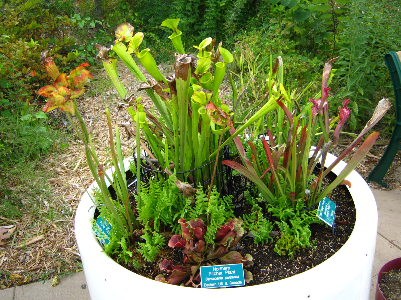 LRZ - Miscellaneous Scenery