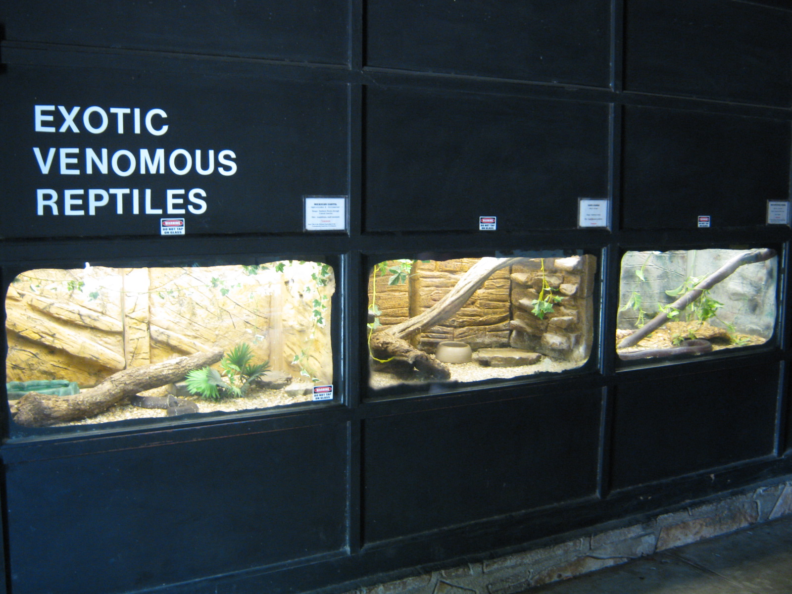LRZ - Reptiles/Amphibians/Invertebrates