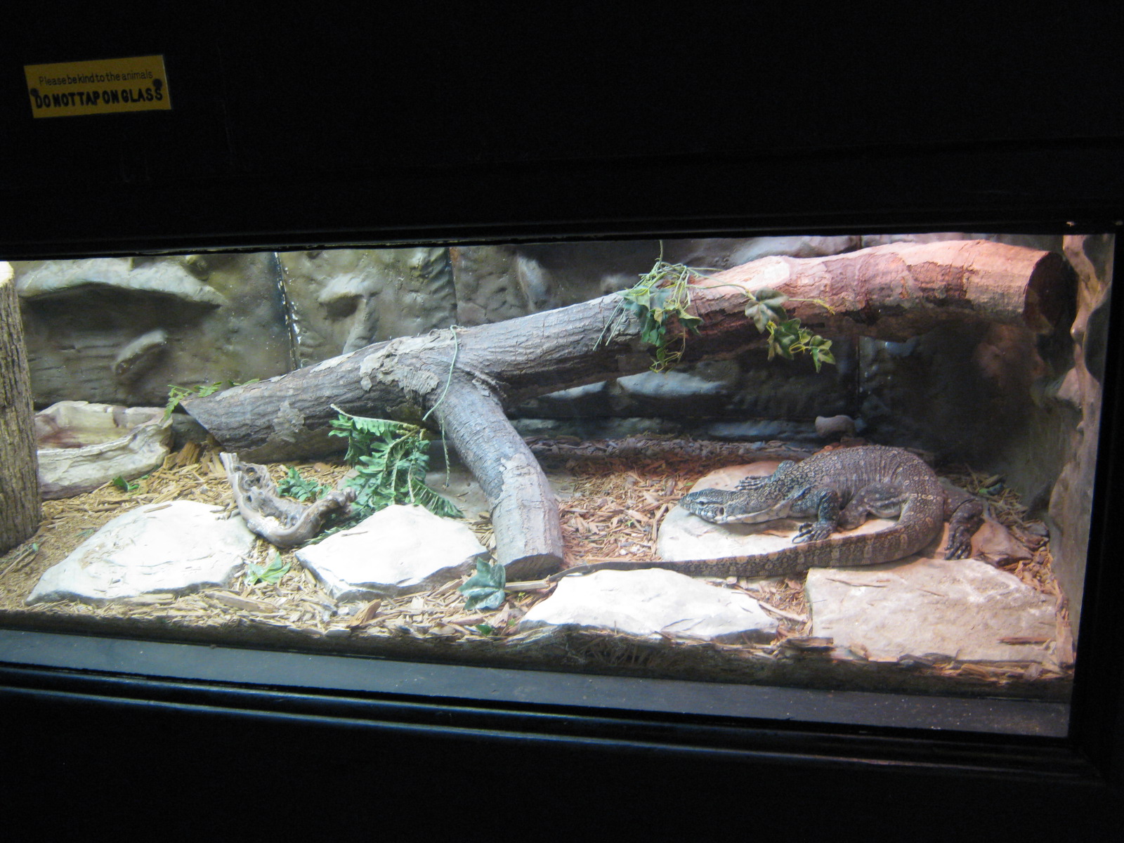 LRZ - Reptiles/Amphibians/Invertebrates