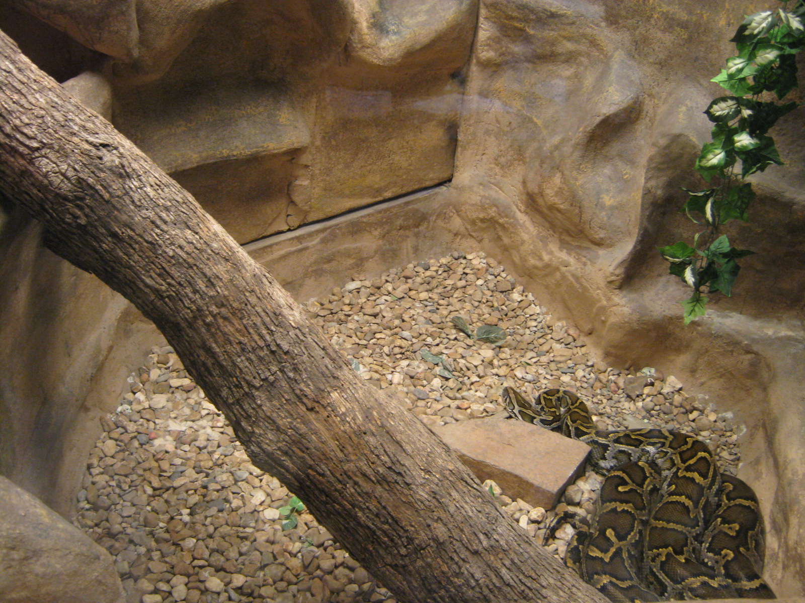 LRZ - Reptiles/Amphibians/Invertebrates