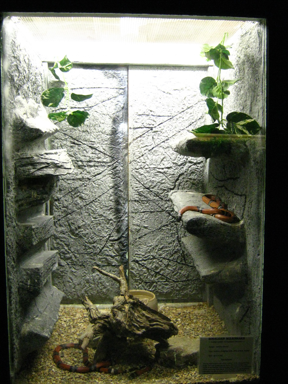 LRZ - Reptiles/Amphibians/Invertebrates