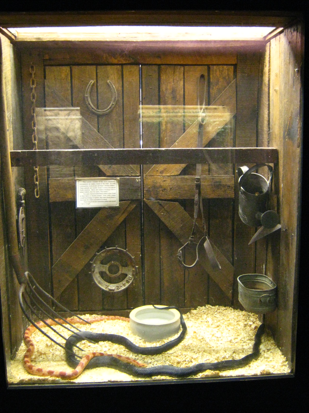 LRZ - Reptiles/Amphibians/Invertebrates