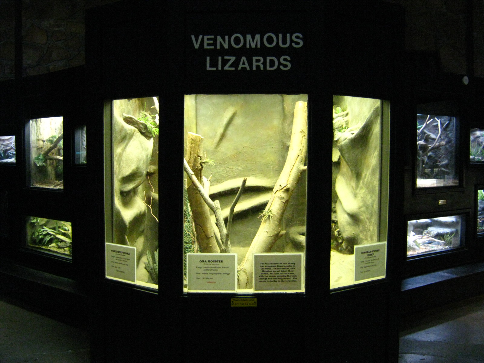 LRZ - Reptiles/Amphibians/Invertebrates