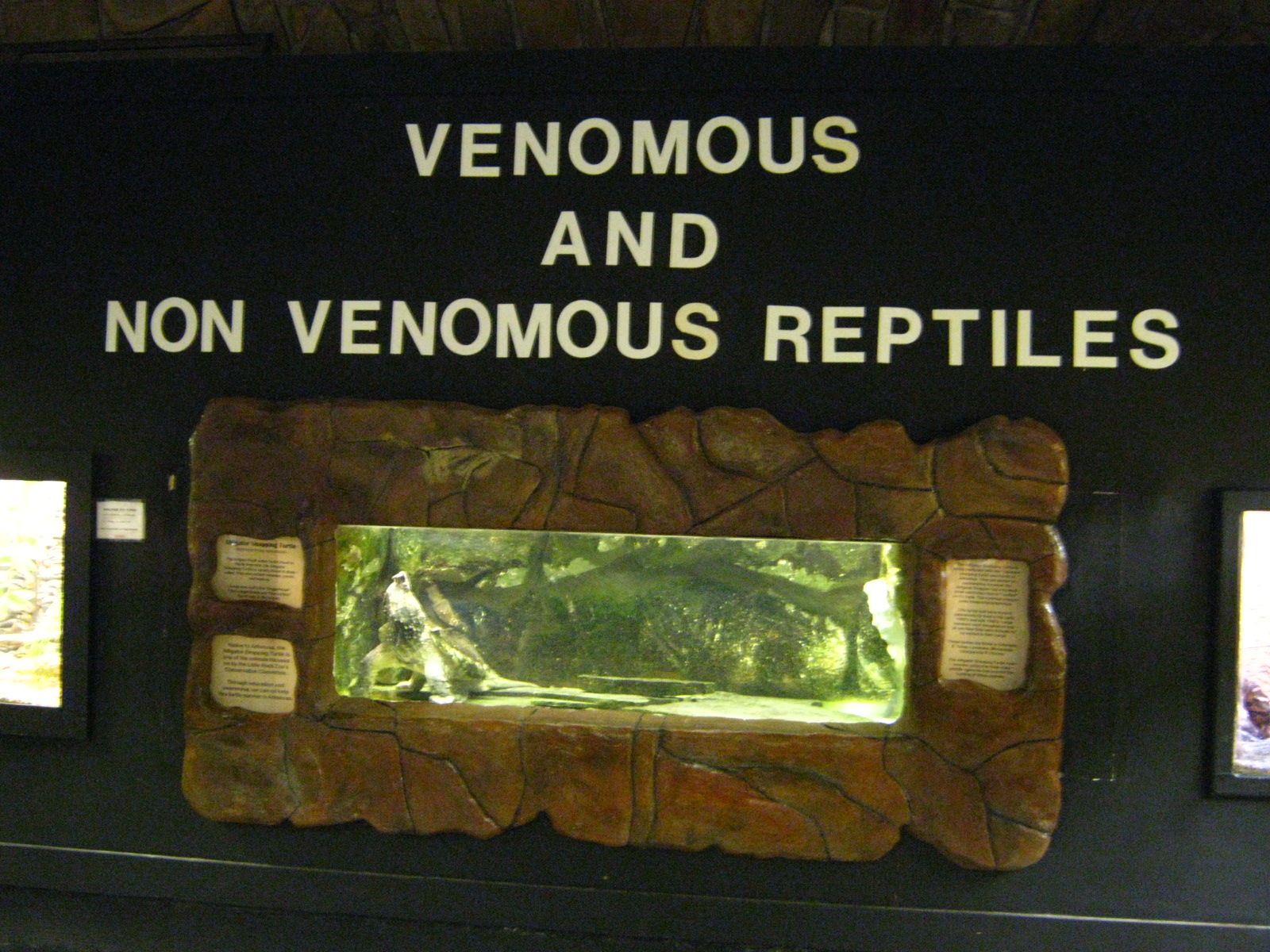 LRZ - Reptiles/Amphibians/Invertebrates