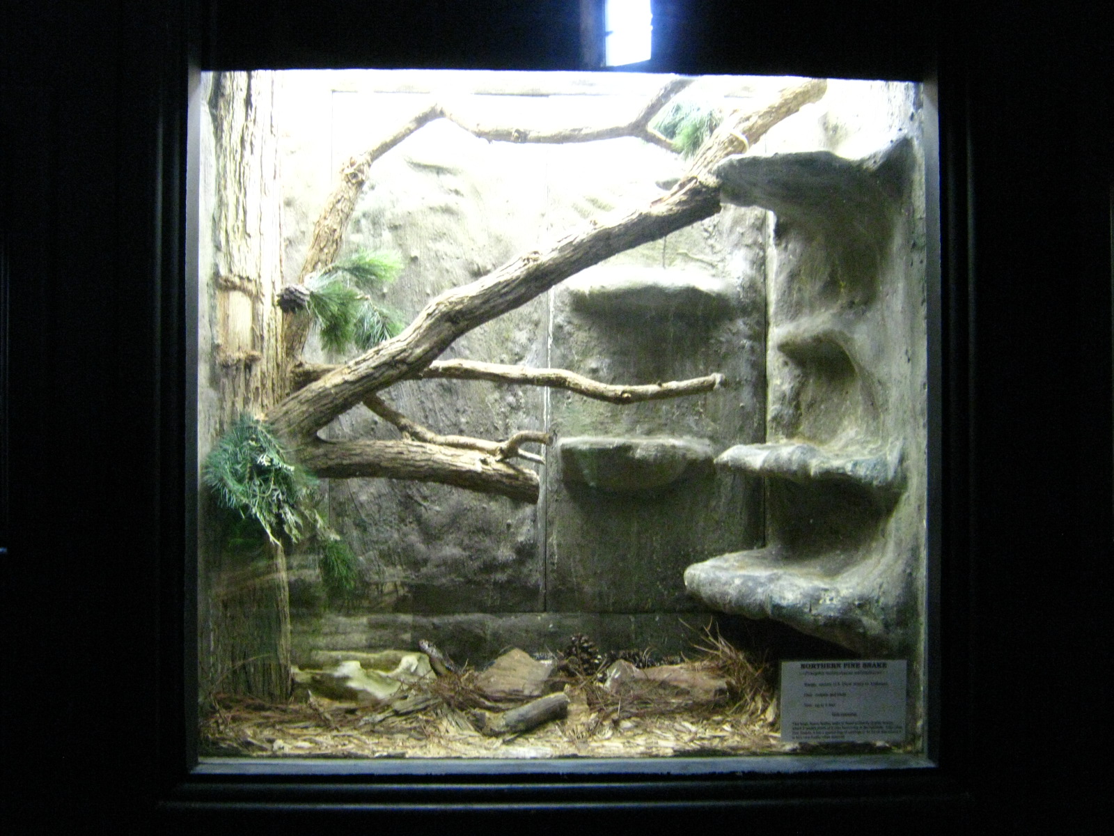 LRZ - Reptiles/Amphibians/Invertebrates