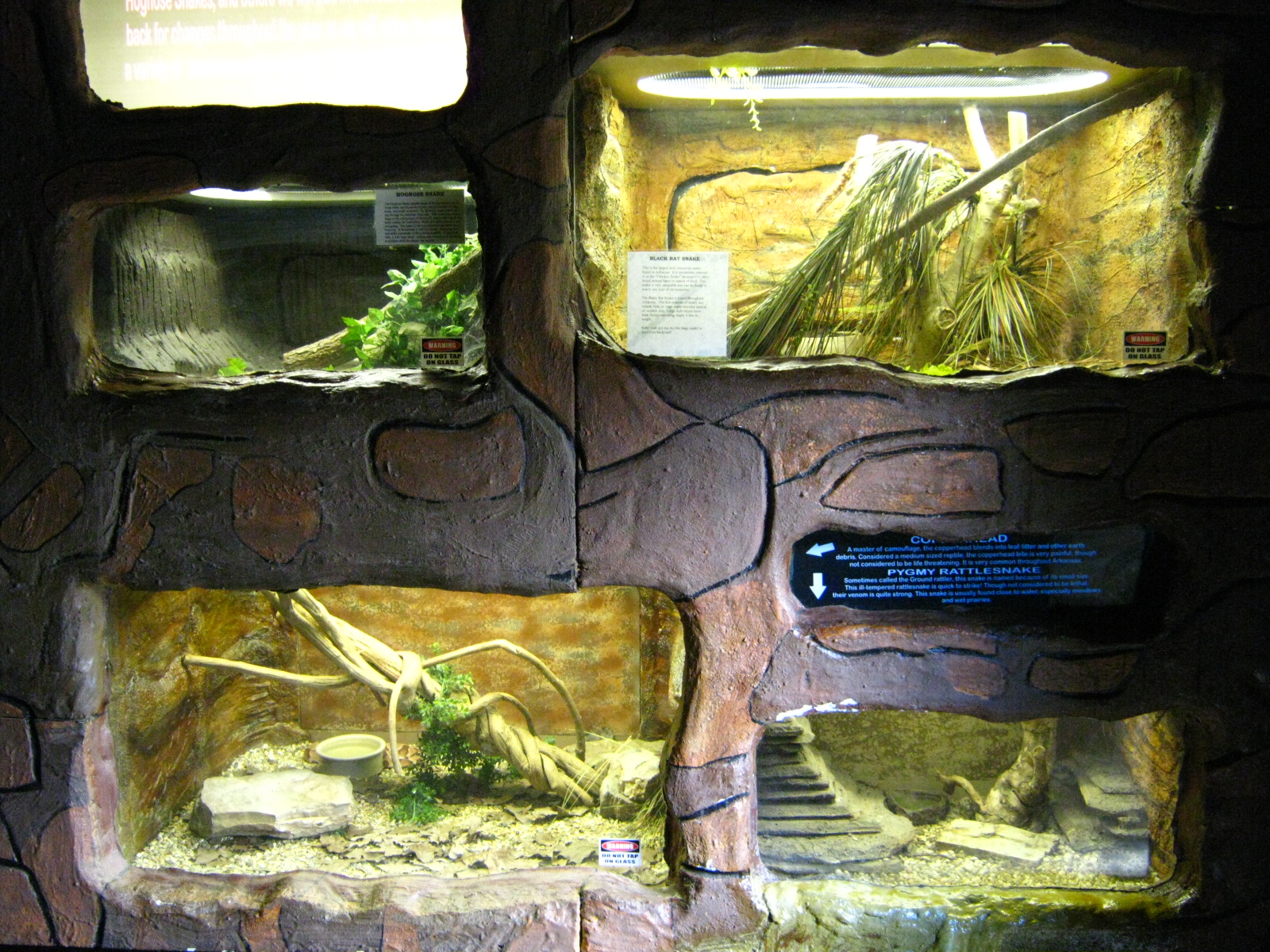 LRZ - Reptiles/Amphibians/Invertebrates