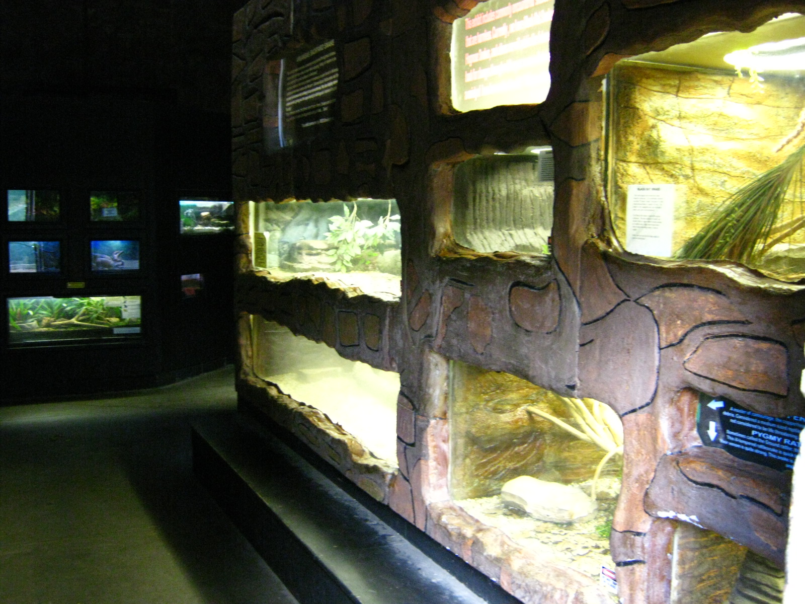 LRZ - Reptiles/Amphibians/Invertebrates