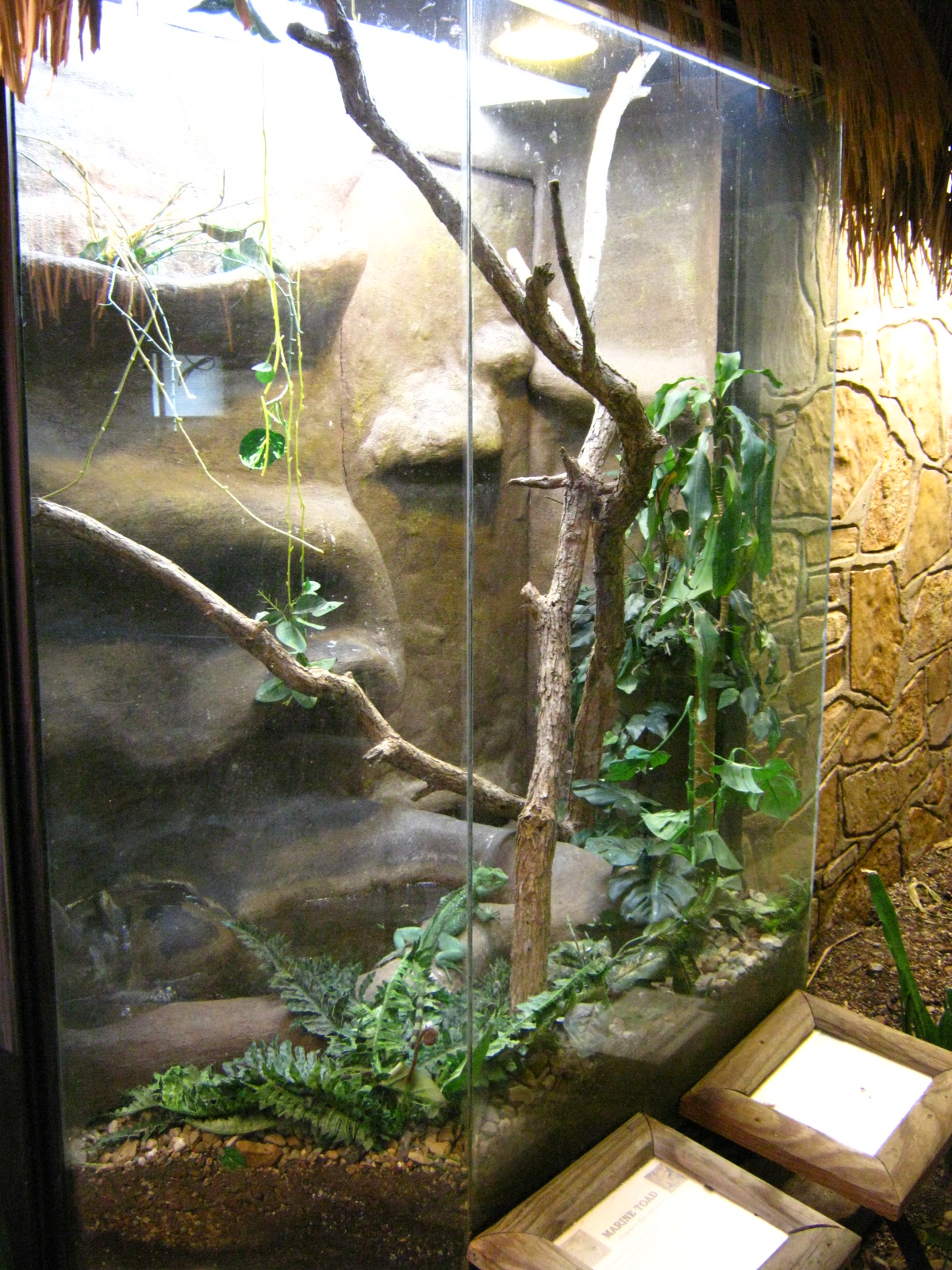 LRZ - Reptiles/Amphibians/Invertebrates