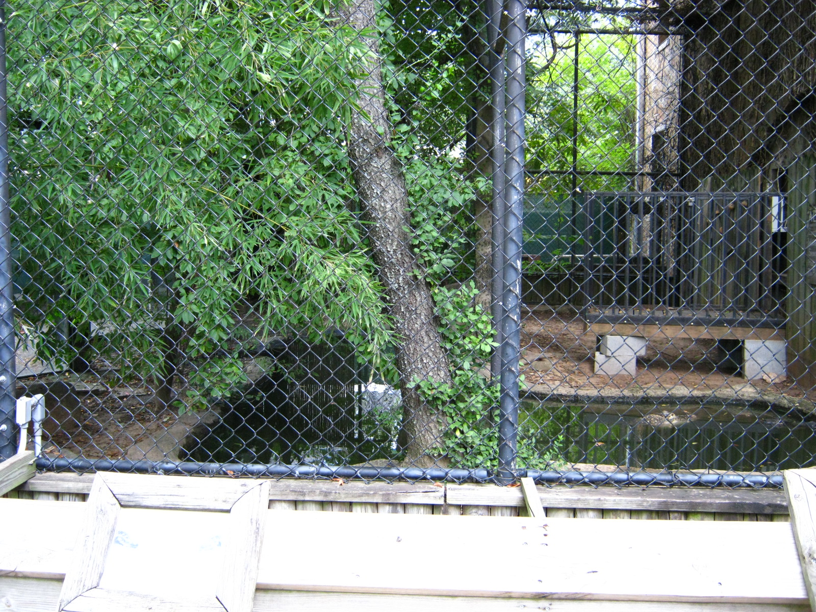 LRZ - Reptiles/Amphibians/Invertebrates