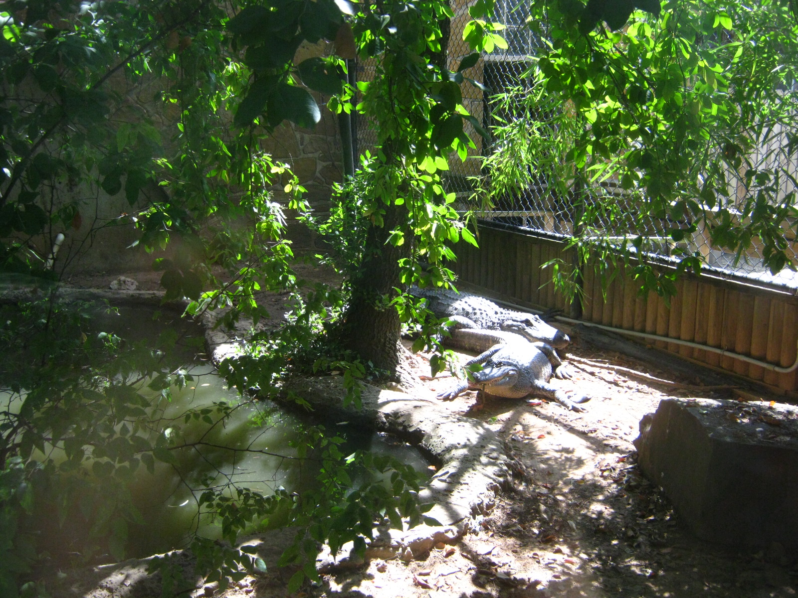 LRZ - Reptiles/Amphibians/Invertebrates