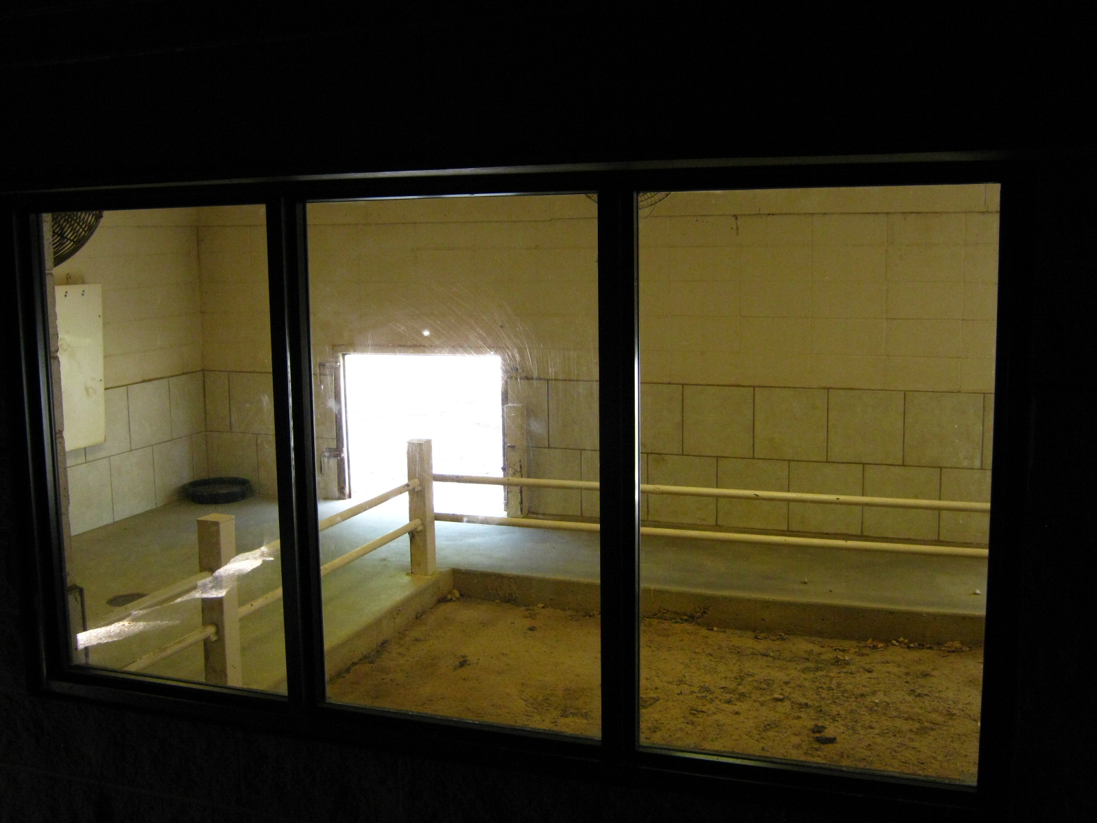 LRZ - Reptiles/Amphibians/Invertebrates