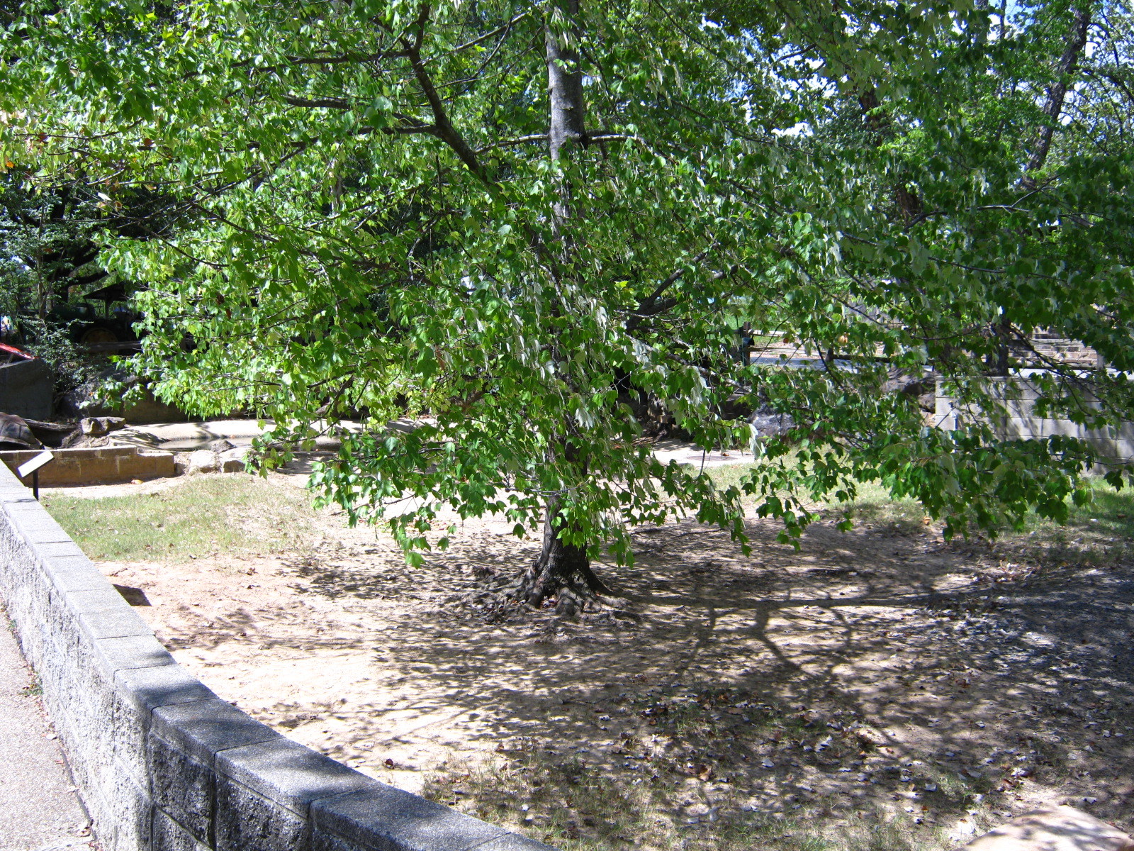 LRZ - Reptiles/Amphibians/Invertebrates