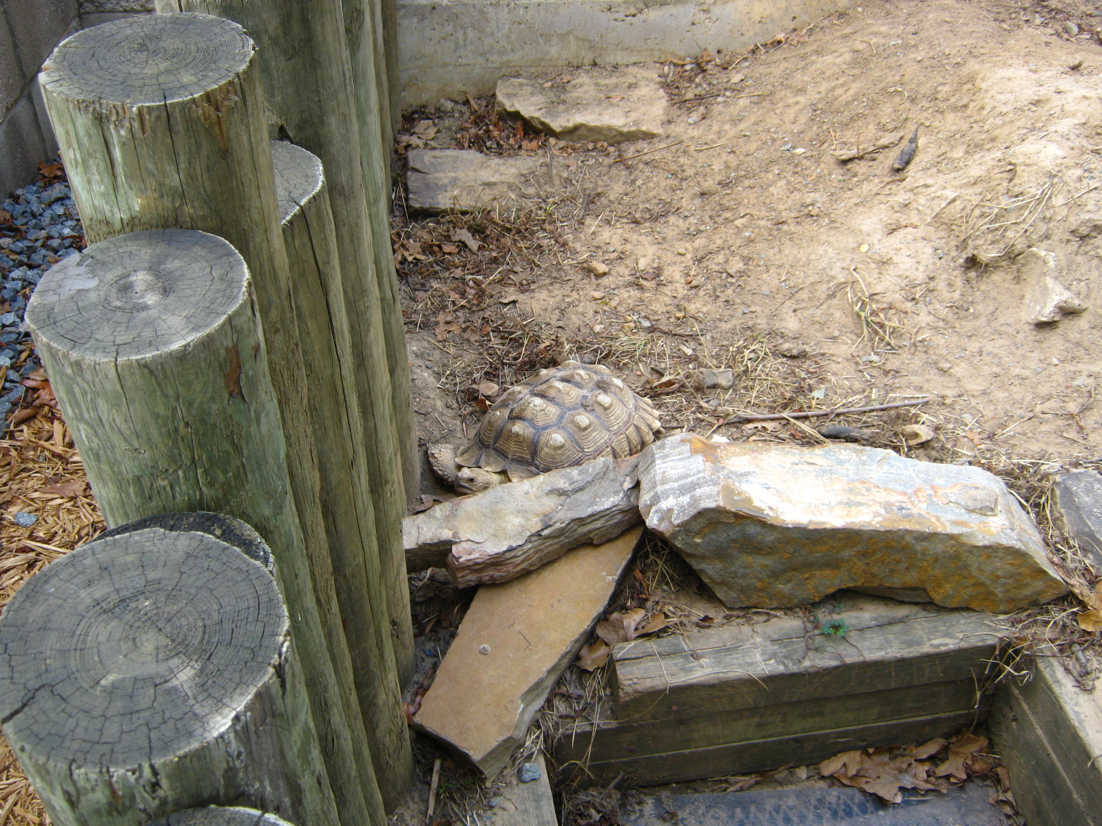 LRZ - Reptiles/Amphibians/Invertebrates