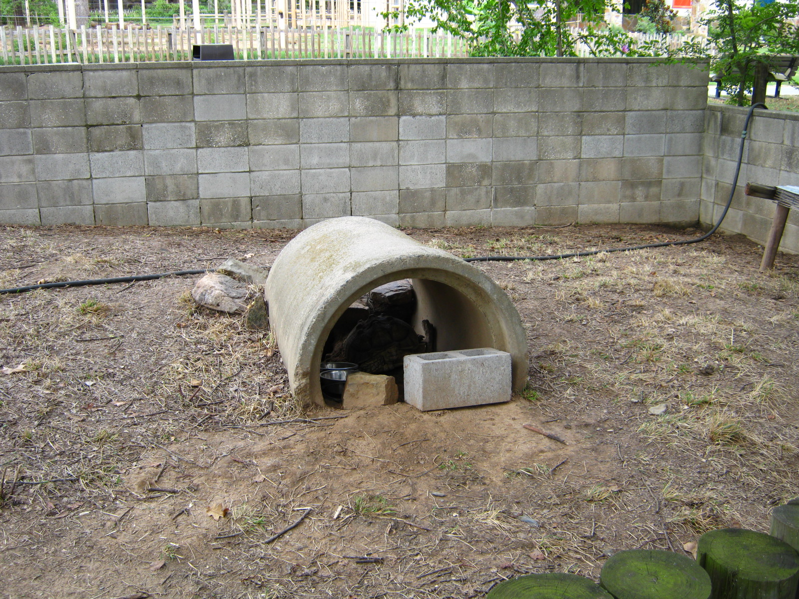 LRZ - Reptiles/Amphibians/Invertebrates