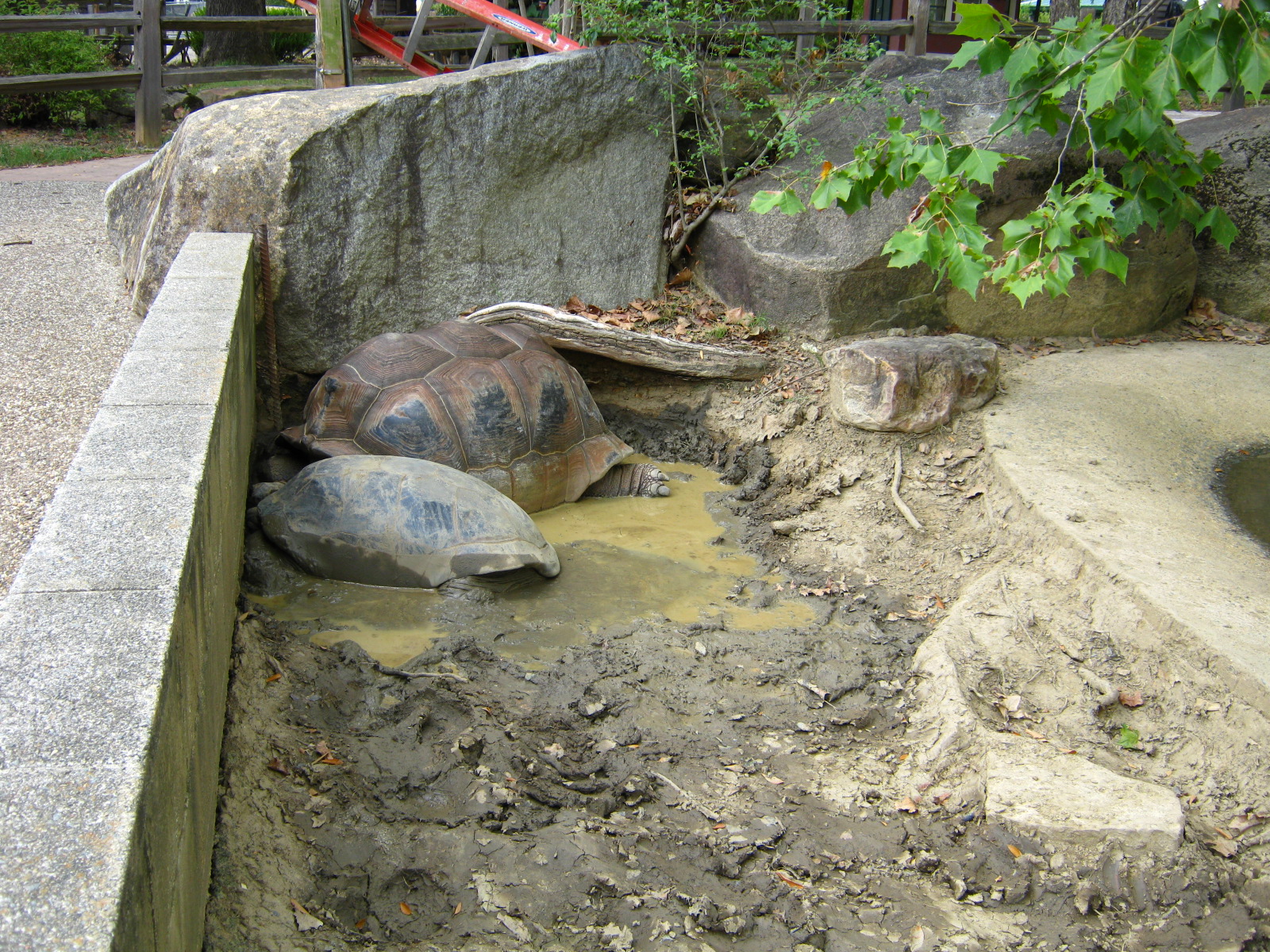 LRZ - Reptiles/Amphibians/Invertebrates