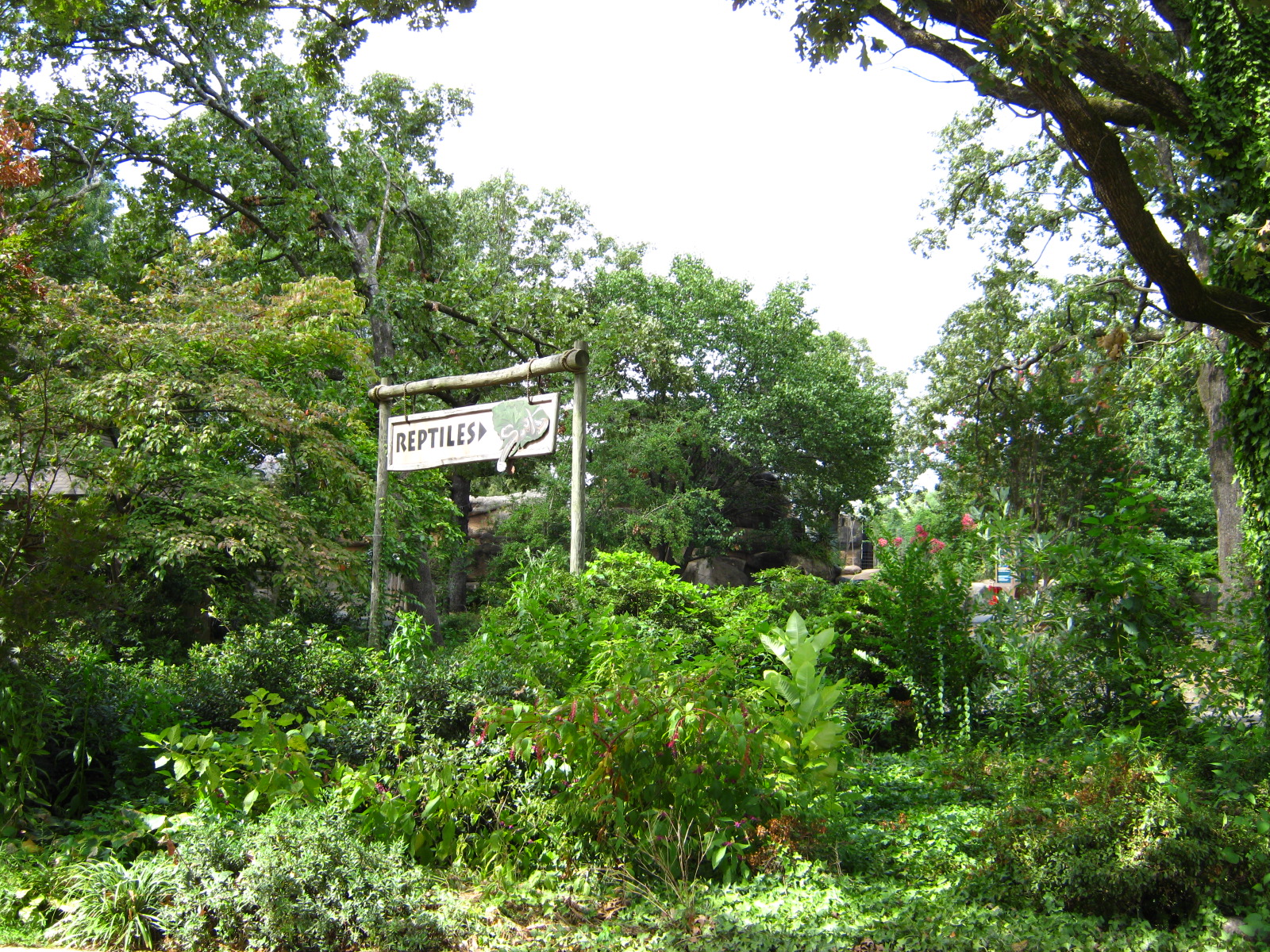 LRZ - Reptiles/Amphibians/Invertebrates