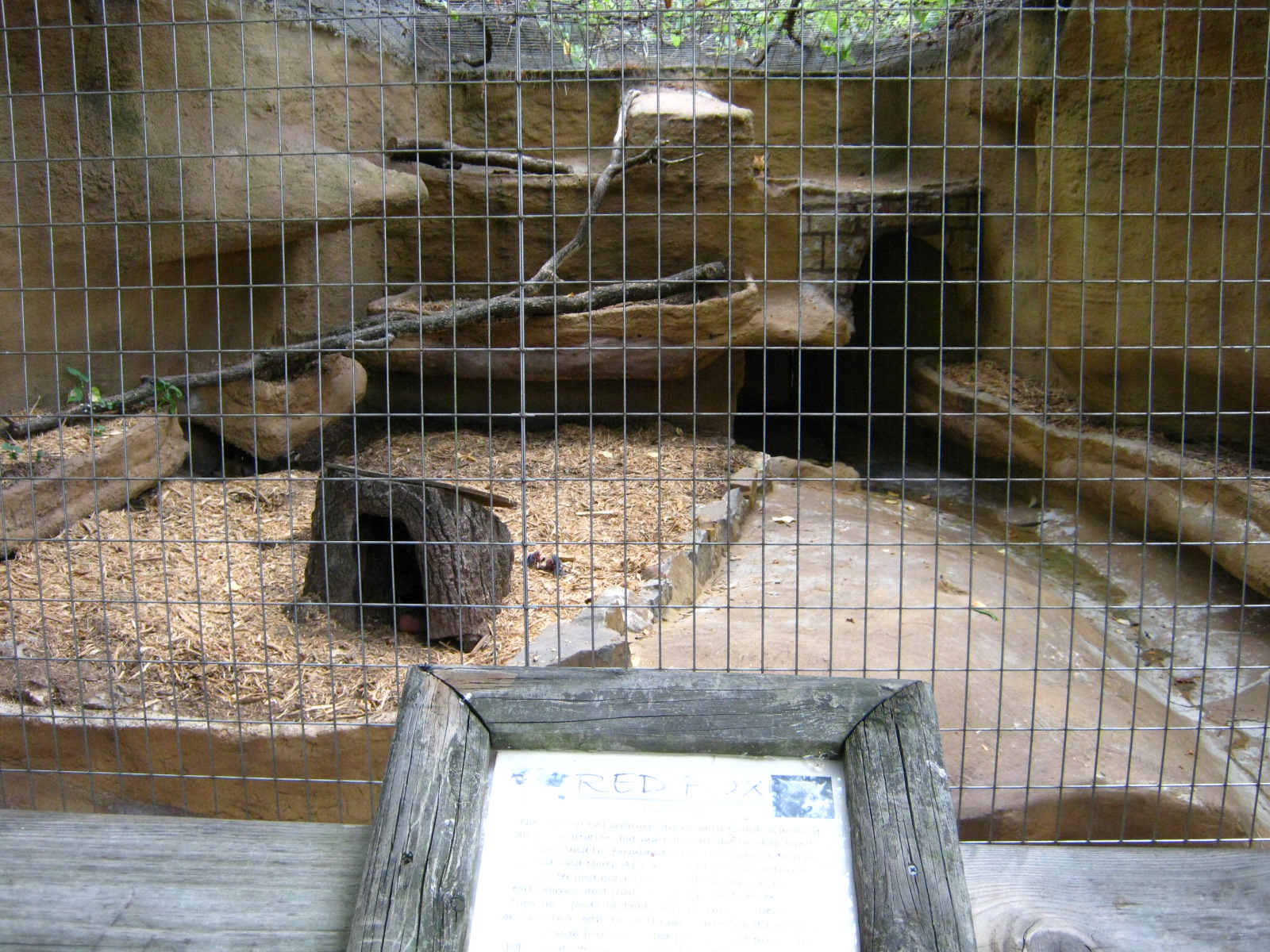 LRZ - Small Carnivores complex