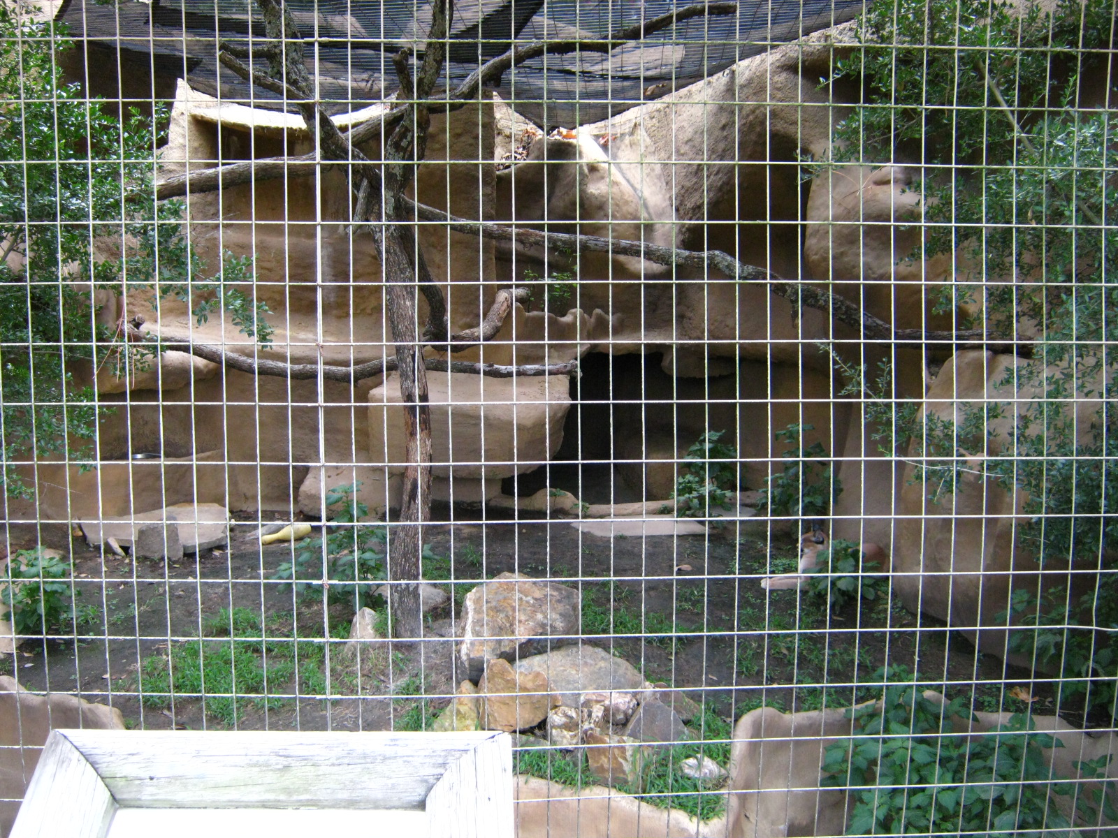 LRZ - Small Carnivores complex