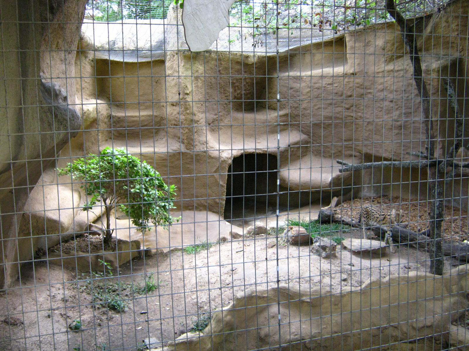 LRZ - Small Carnivores complex