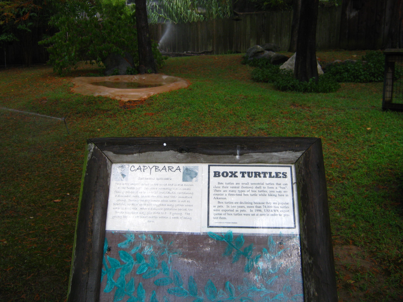 LRZ - Small Carnivores complex