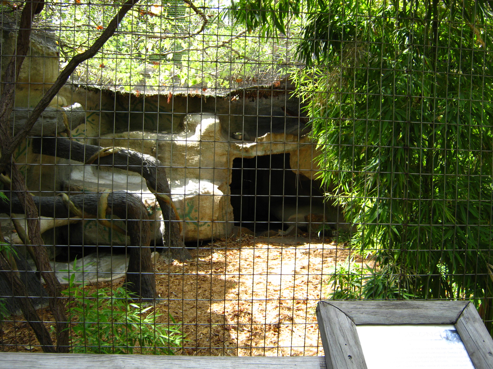 LRZ - Small Carnivores complex