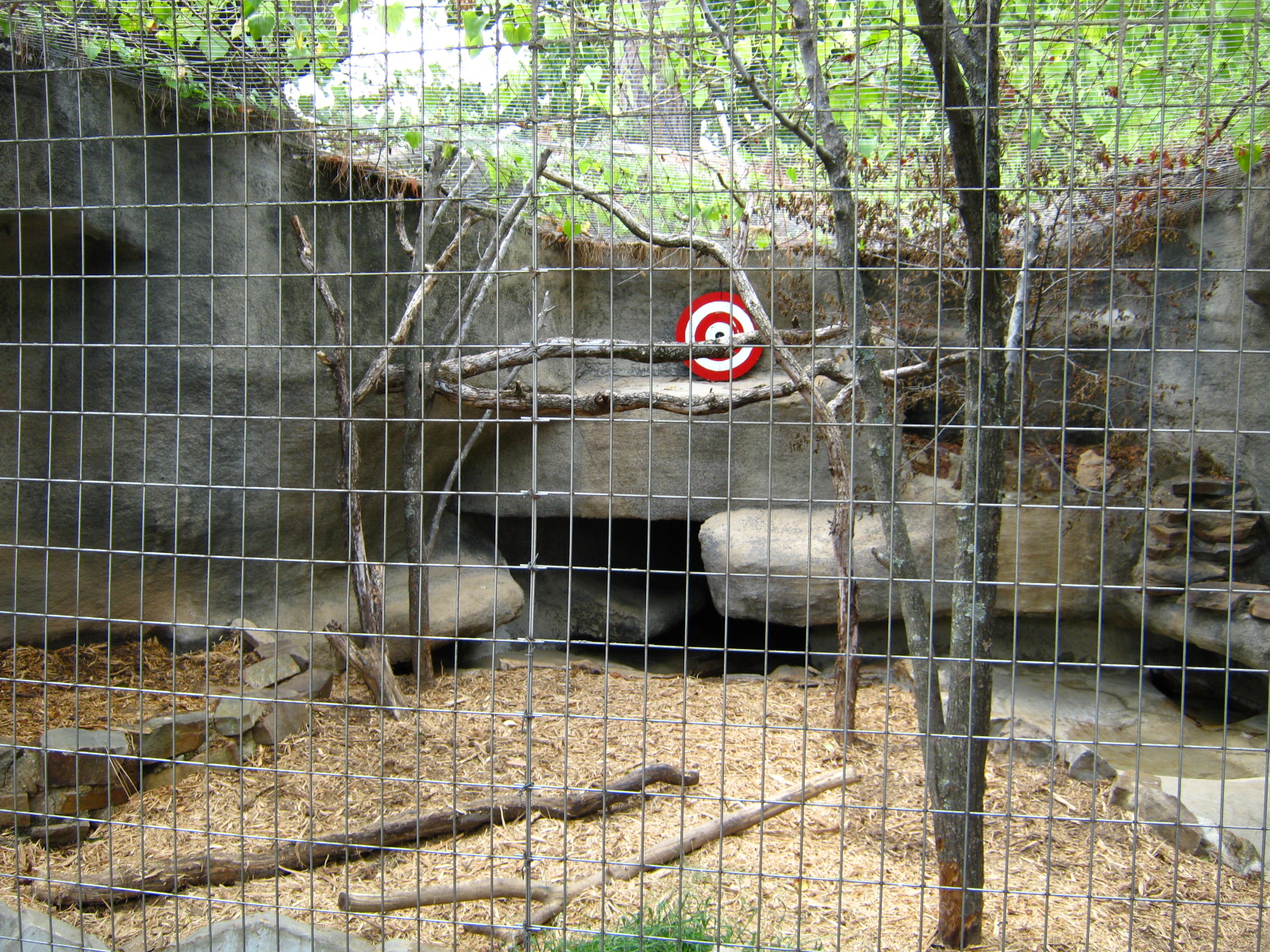 LRZ - Small Carnivores complex