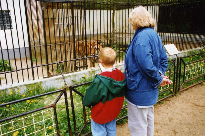 Lübeck 1994 - Tiger