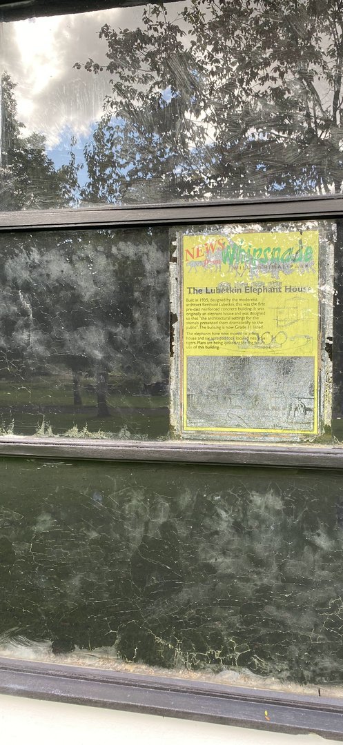 Lubetkin elephant house poster, ZSL Whipsnade, UK