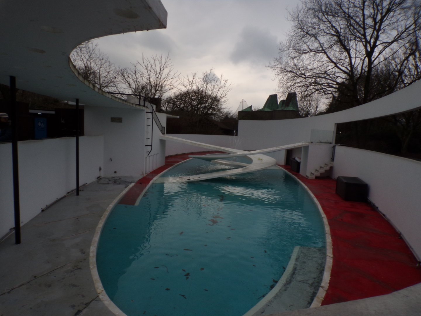 Lubetkin penguin pool 11.2.25