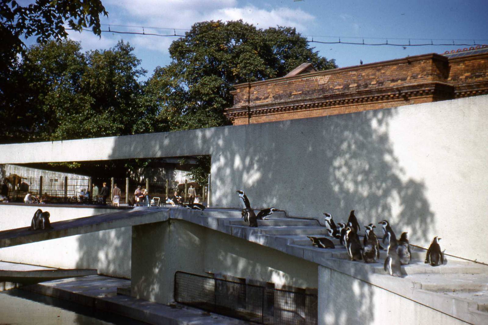 lubetkin penguin pool